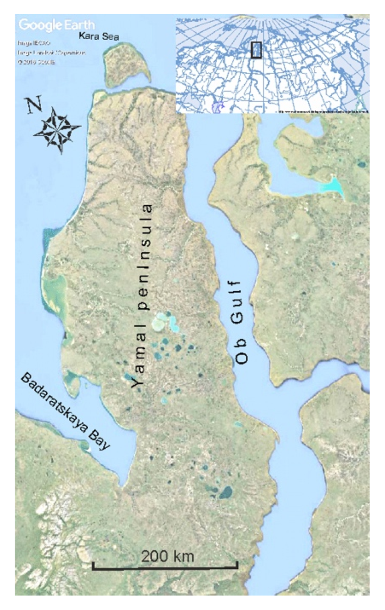 Water 12 02099 g001 Water 12 02099 g001