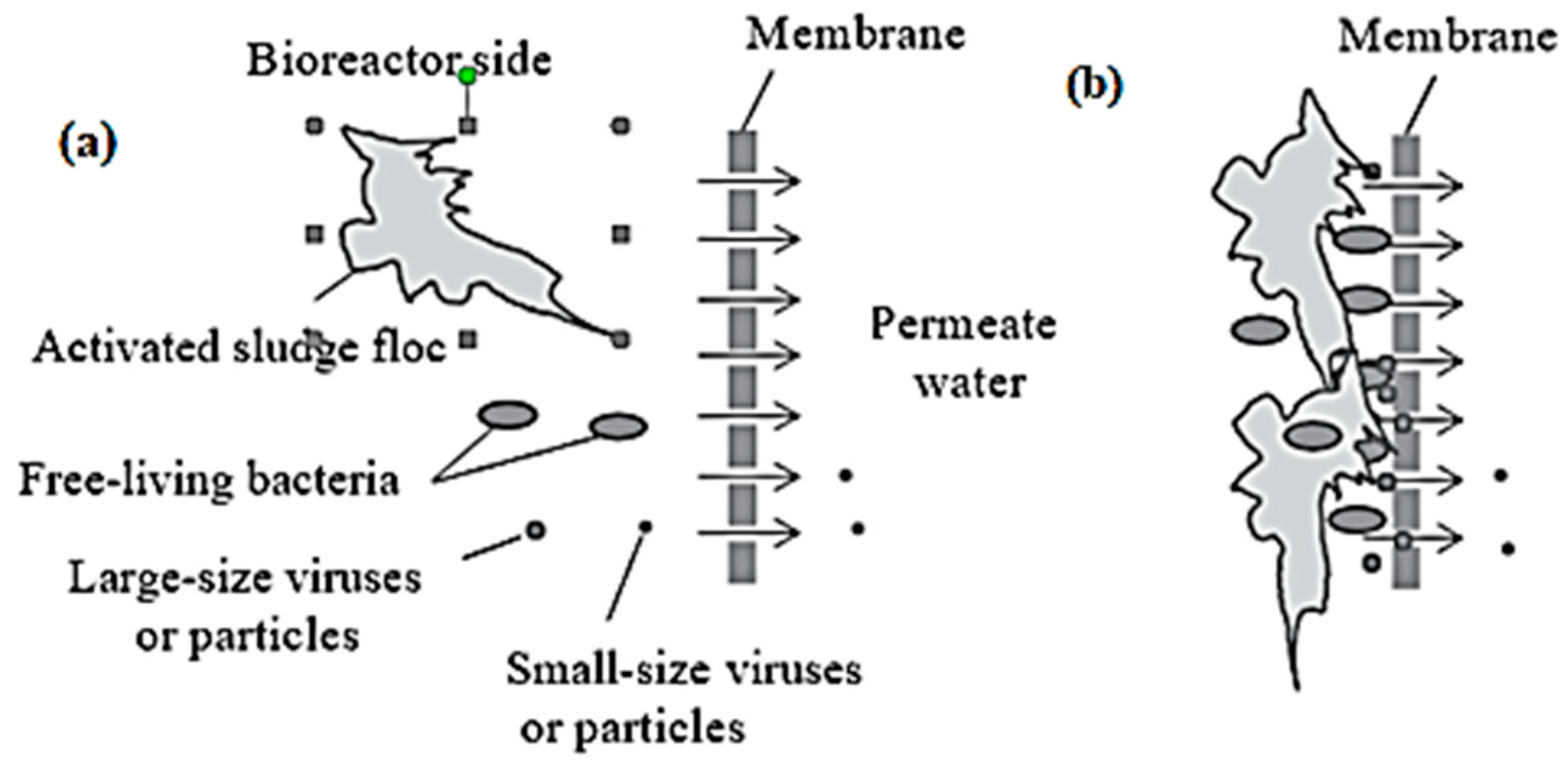 Water 12 02680 g005 Water 12 02680 g005