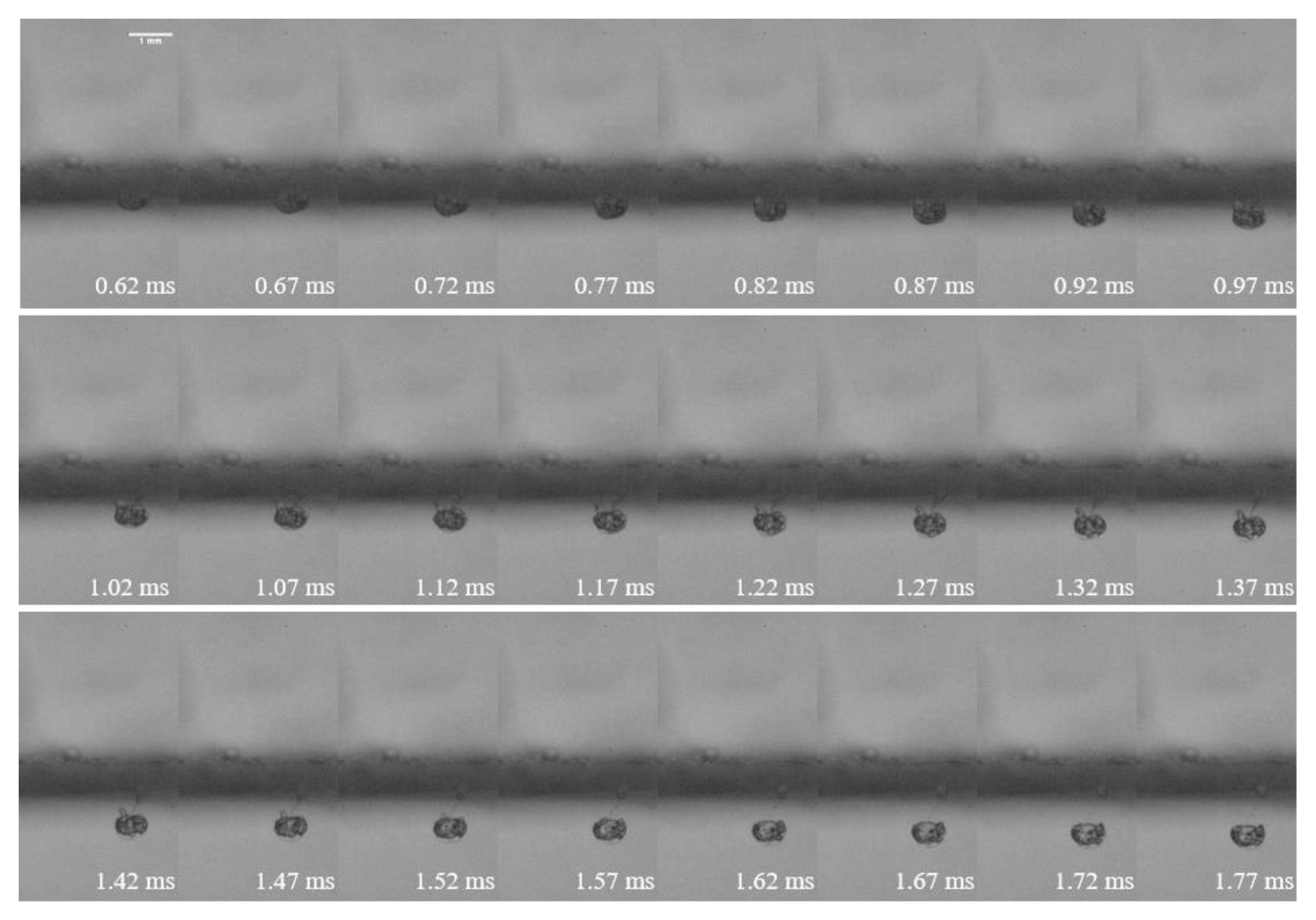 Water 12 02794 g003 Water 12 02794 g003