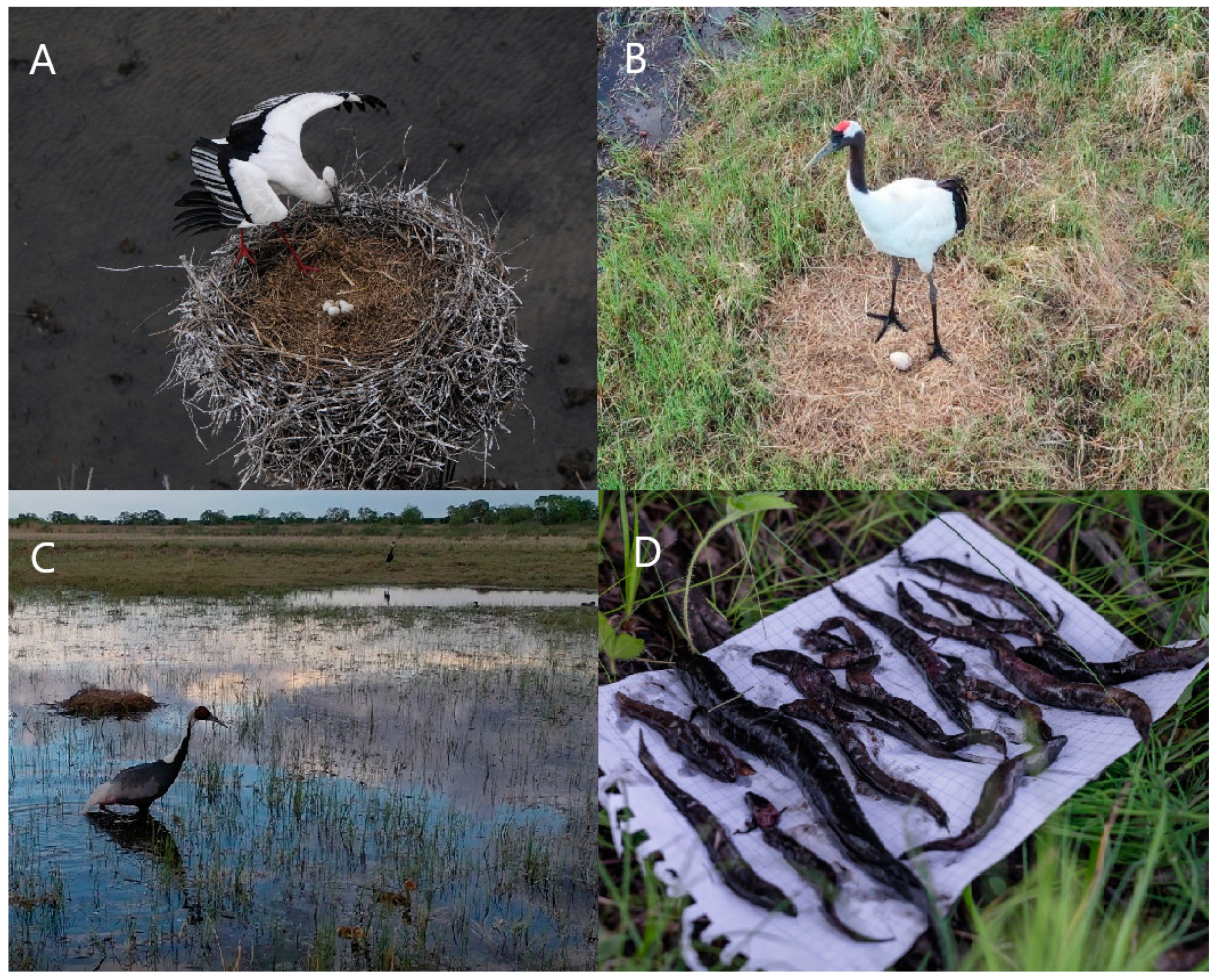 Water 12 02812 g002 Water 12 02812 g002