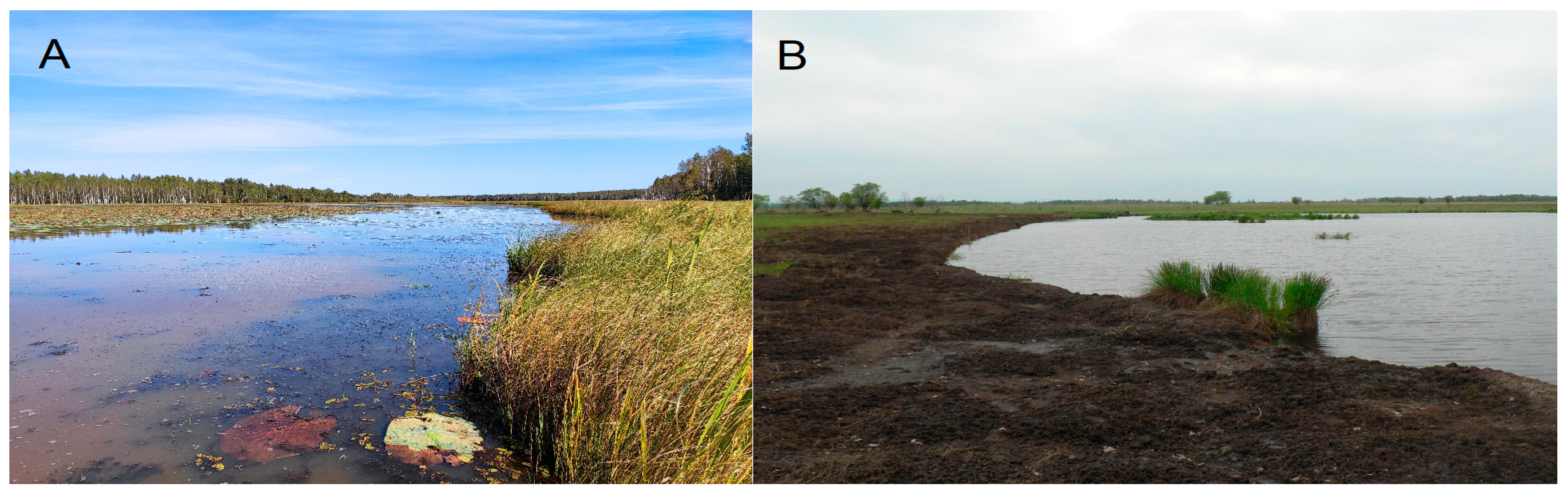 Water 12 02812 g007 Water 12 02812 g007