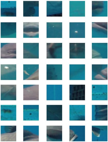 Water 12 03013 g0a3b Water 12 03013 g0a3b