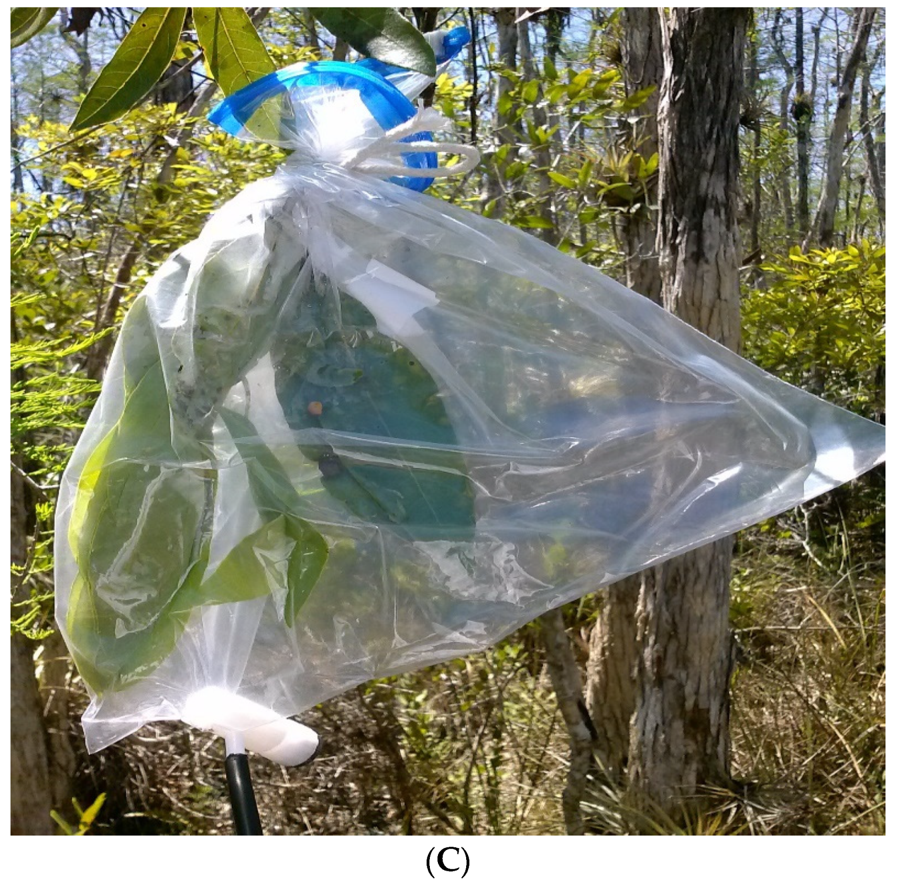 Water 12 03203 g003b