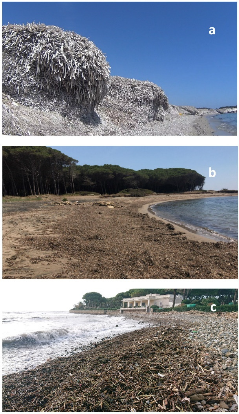 Water 12 03238 g001 Water 12 03238 g001