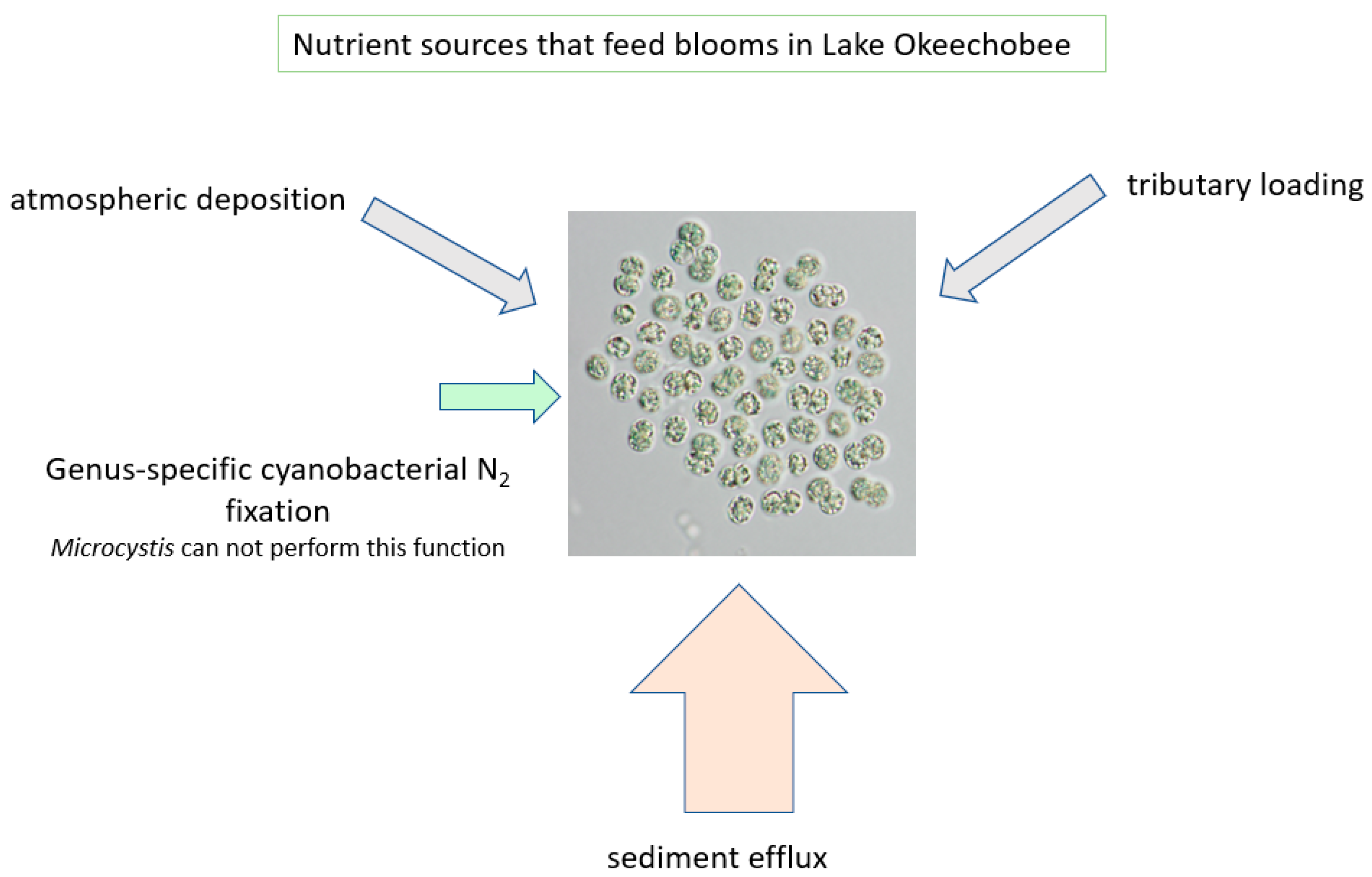 Water 13 00039 g011 Water 13 00039 g011