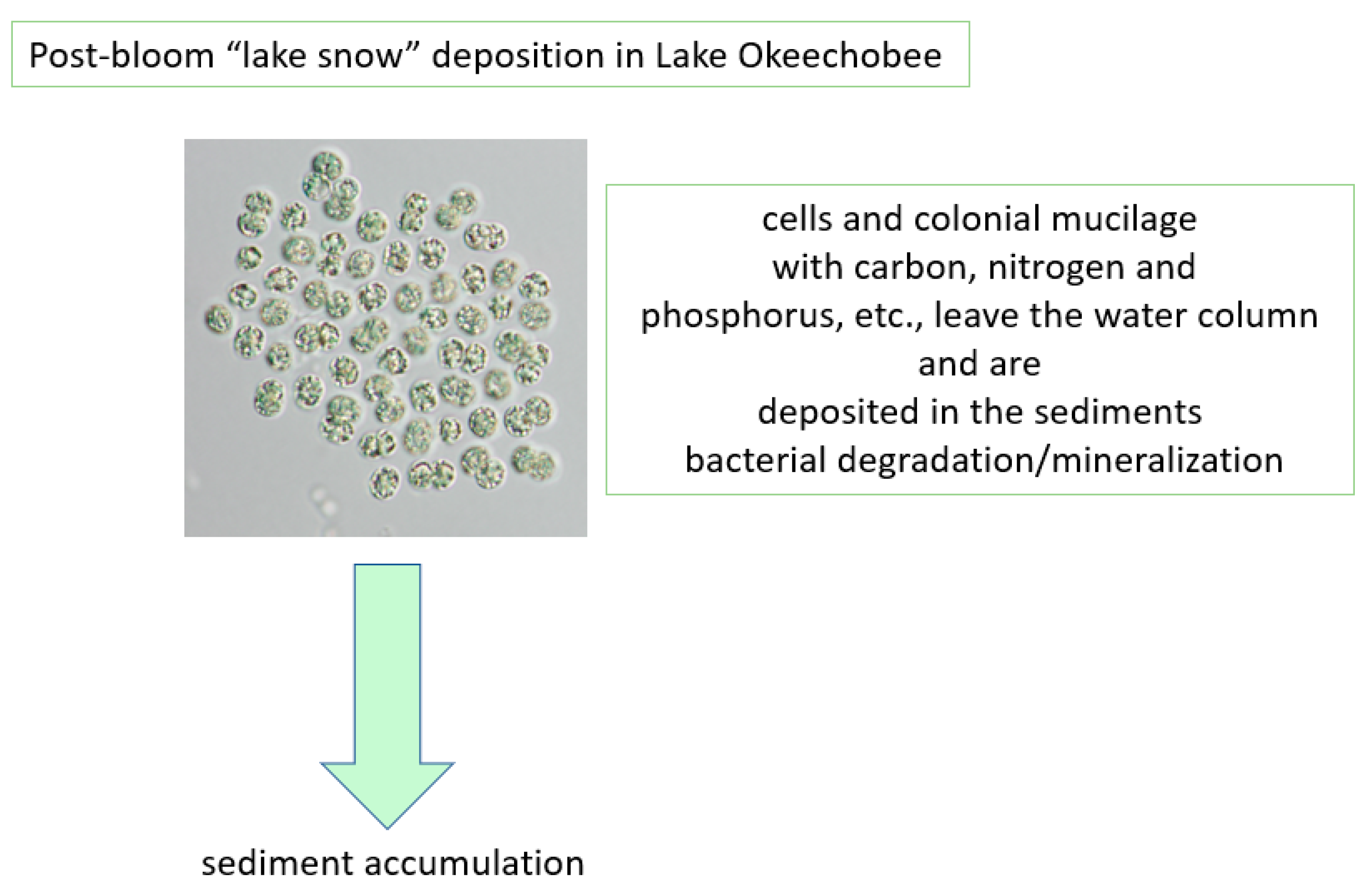 Water 13 00039 g012 Water 13 00039 g012