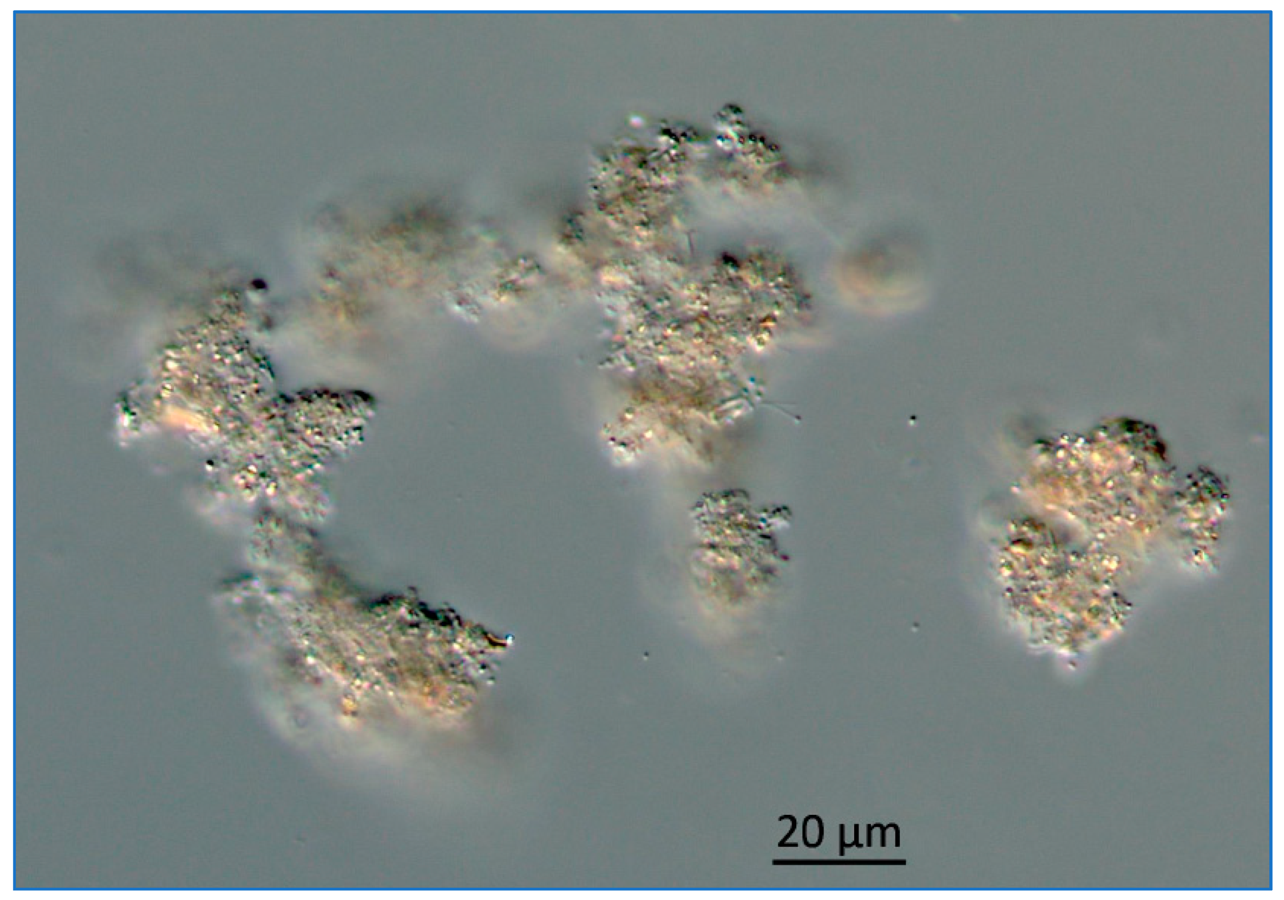 Water 13 00039 g013 Water 13 00039 g013