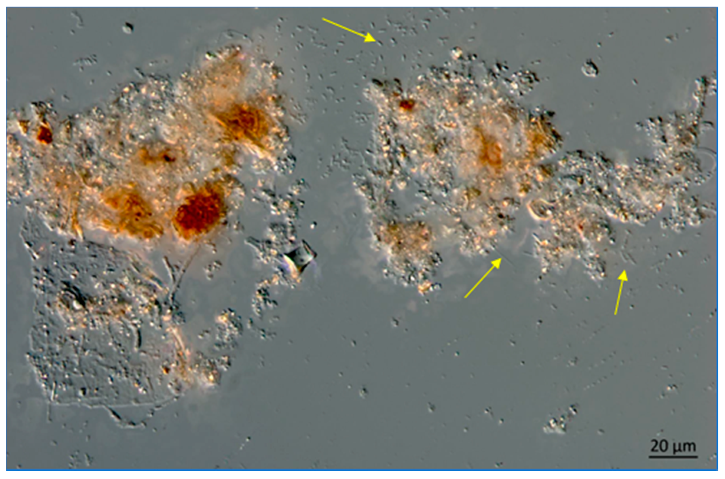 Water 13 00039 g014 Water 13 00039 g014