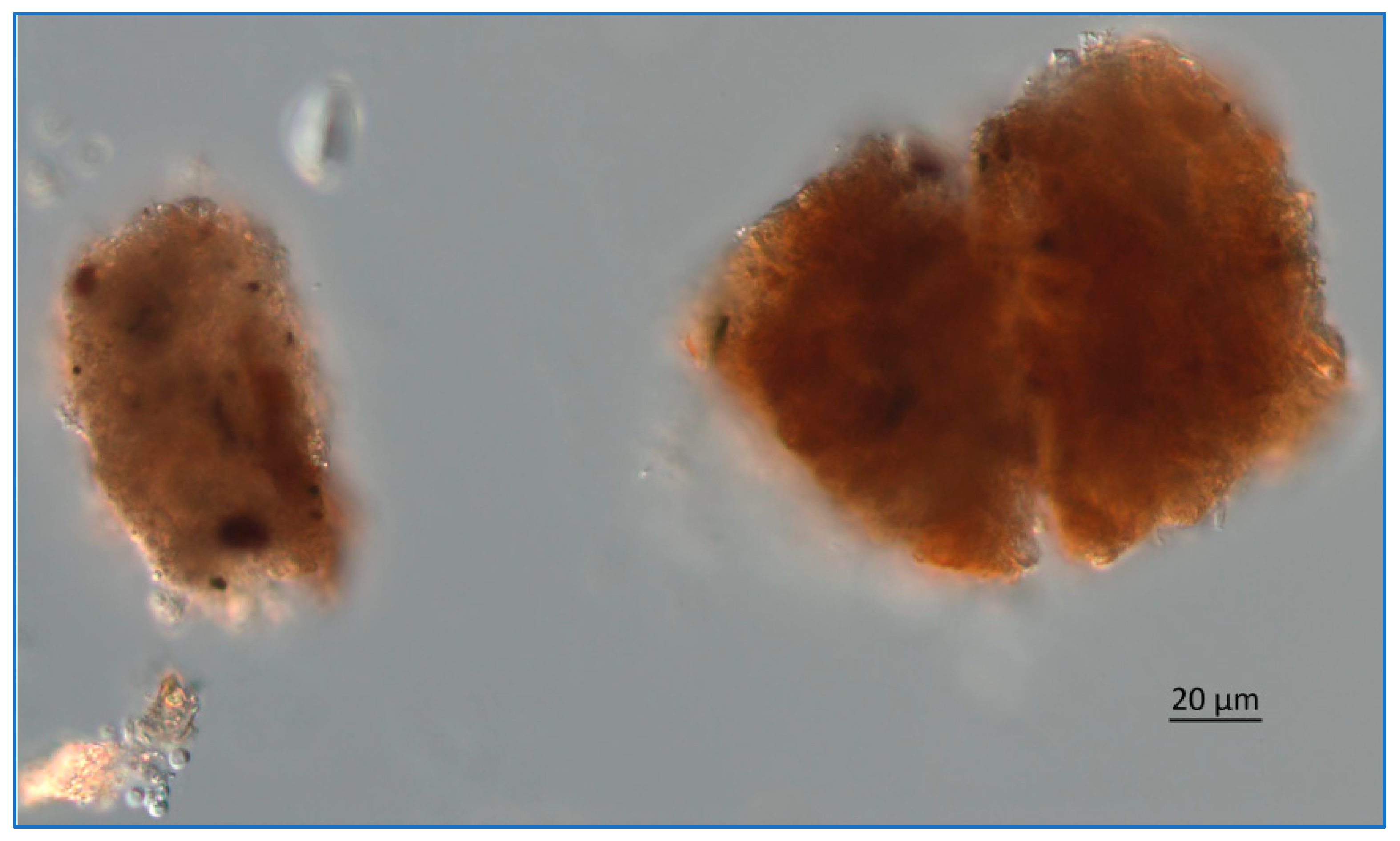 Water 13 00039 g015 Water 13 00039 g015