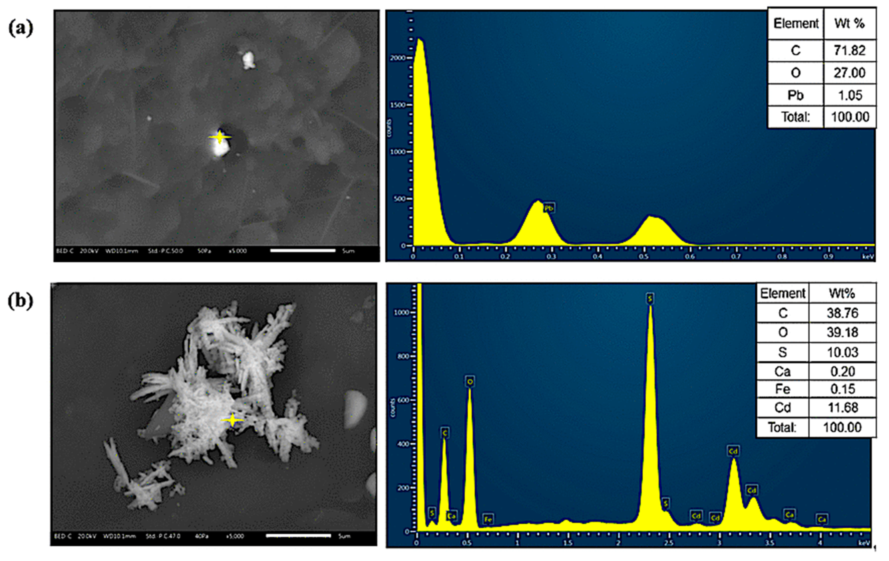 Water 13 00089 g003 Water 13 00089 g003