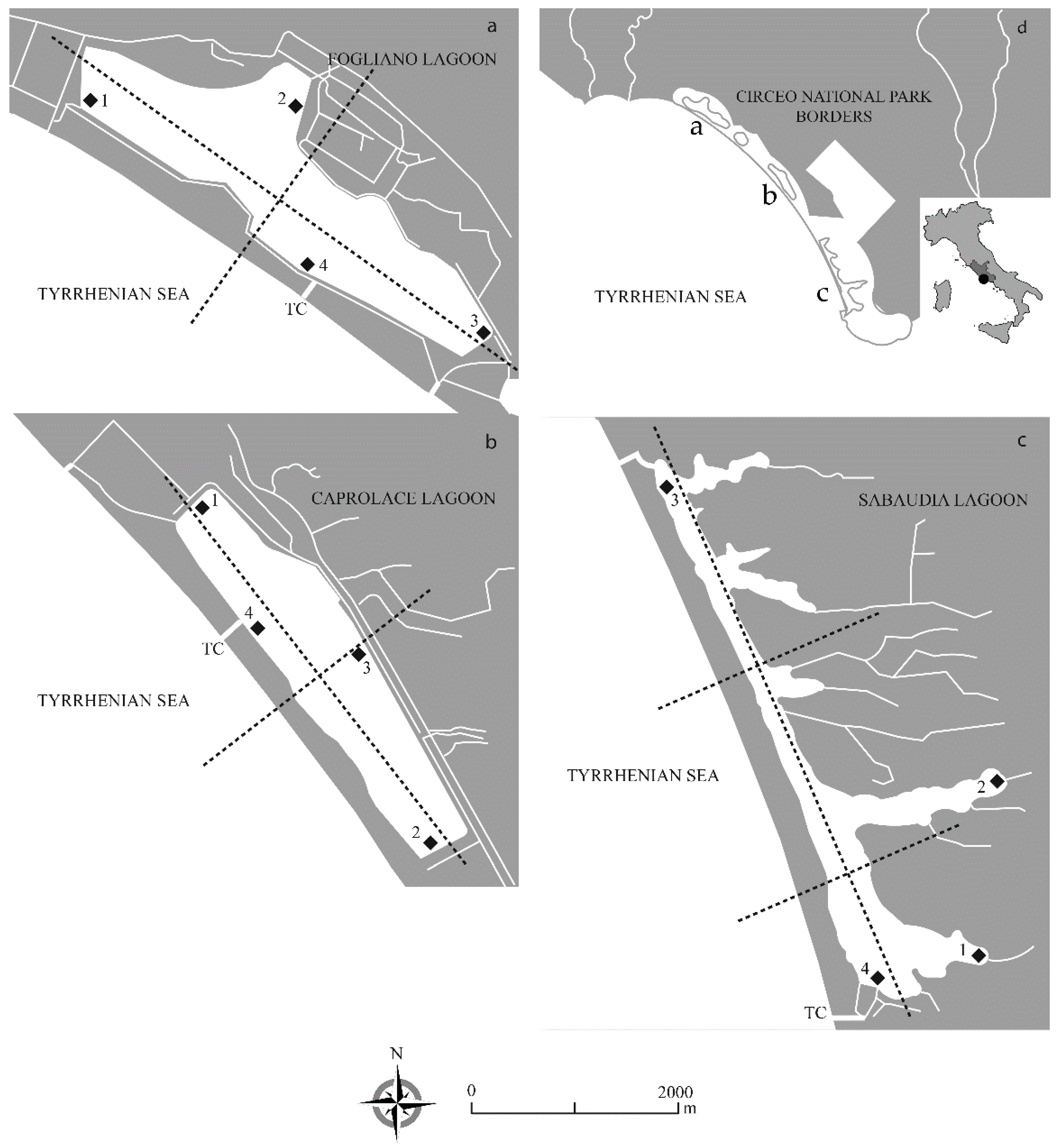 Water 13 00130 g001 Water 13 00130 g001