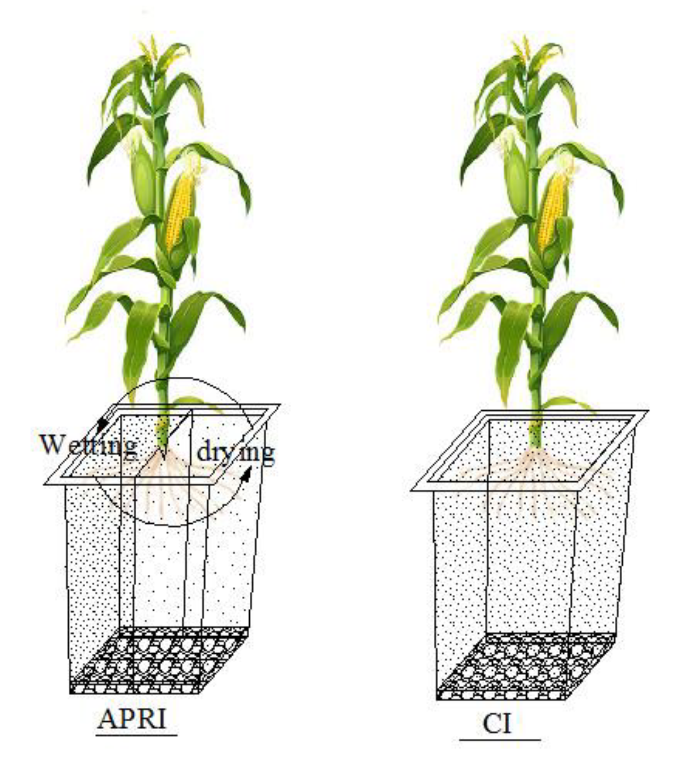 Water 13 00148 g002 Water 13 00148 g002