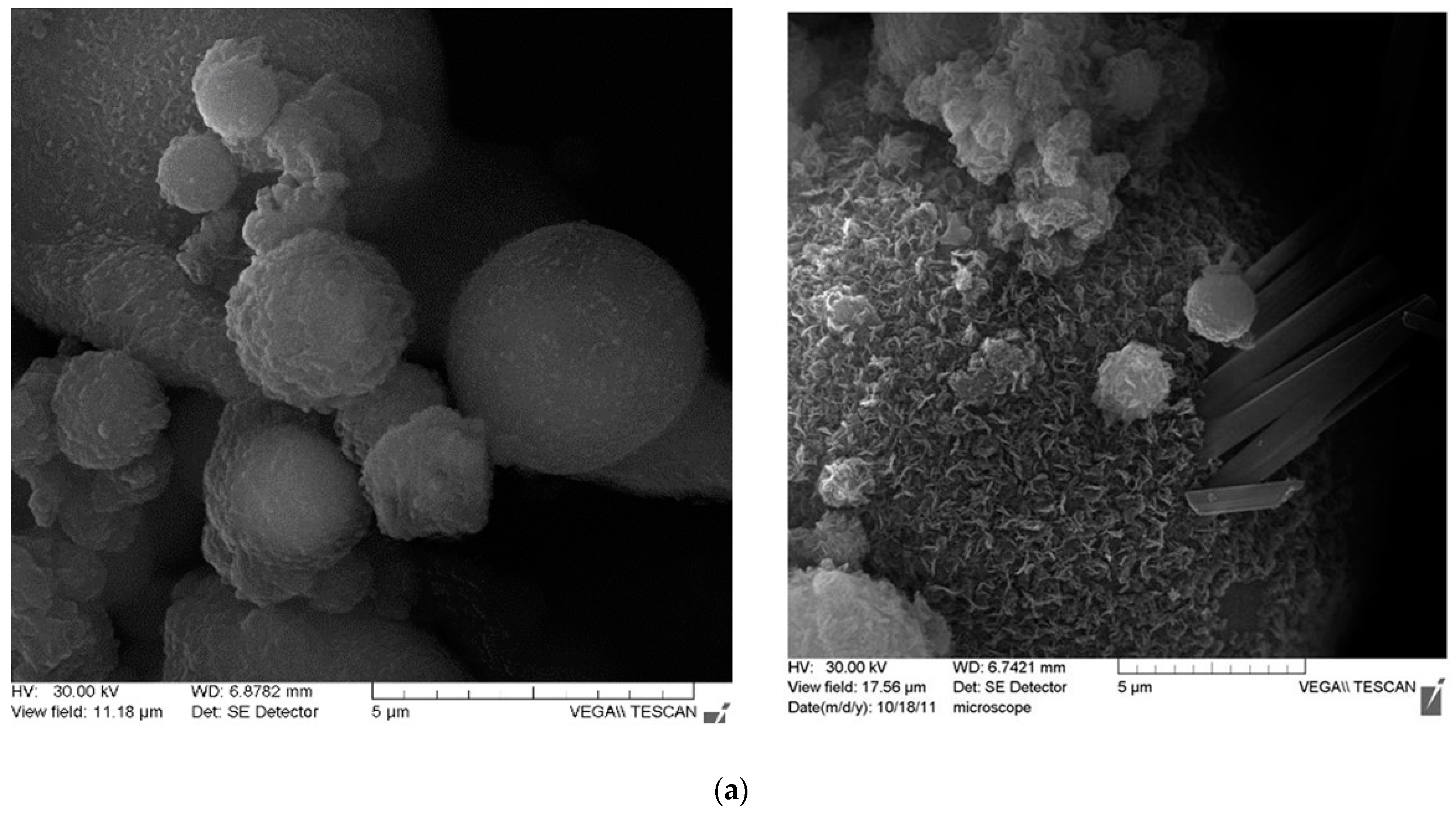 Water 13 00207 g001a