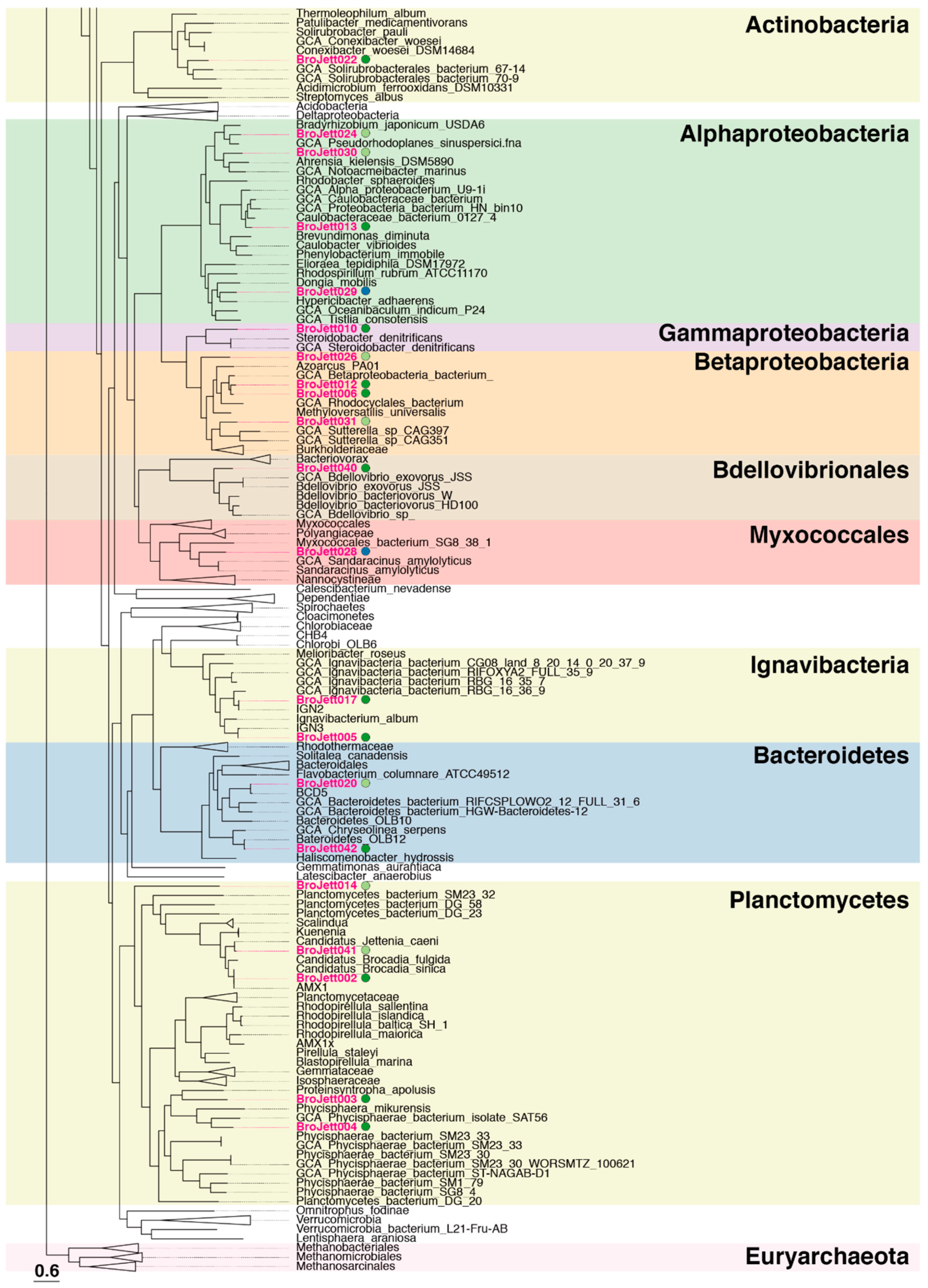 Water 13 00208 g002b