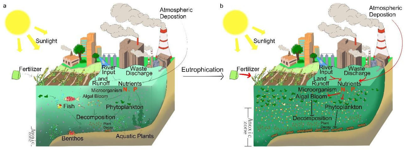 Water 13 00225 g001 Water 13 00225 g001