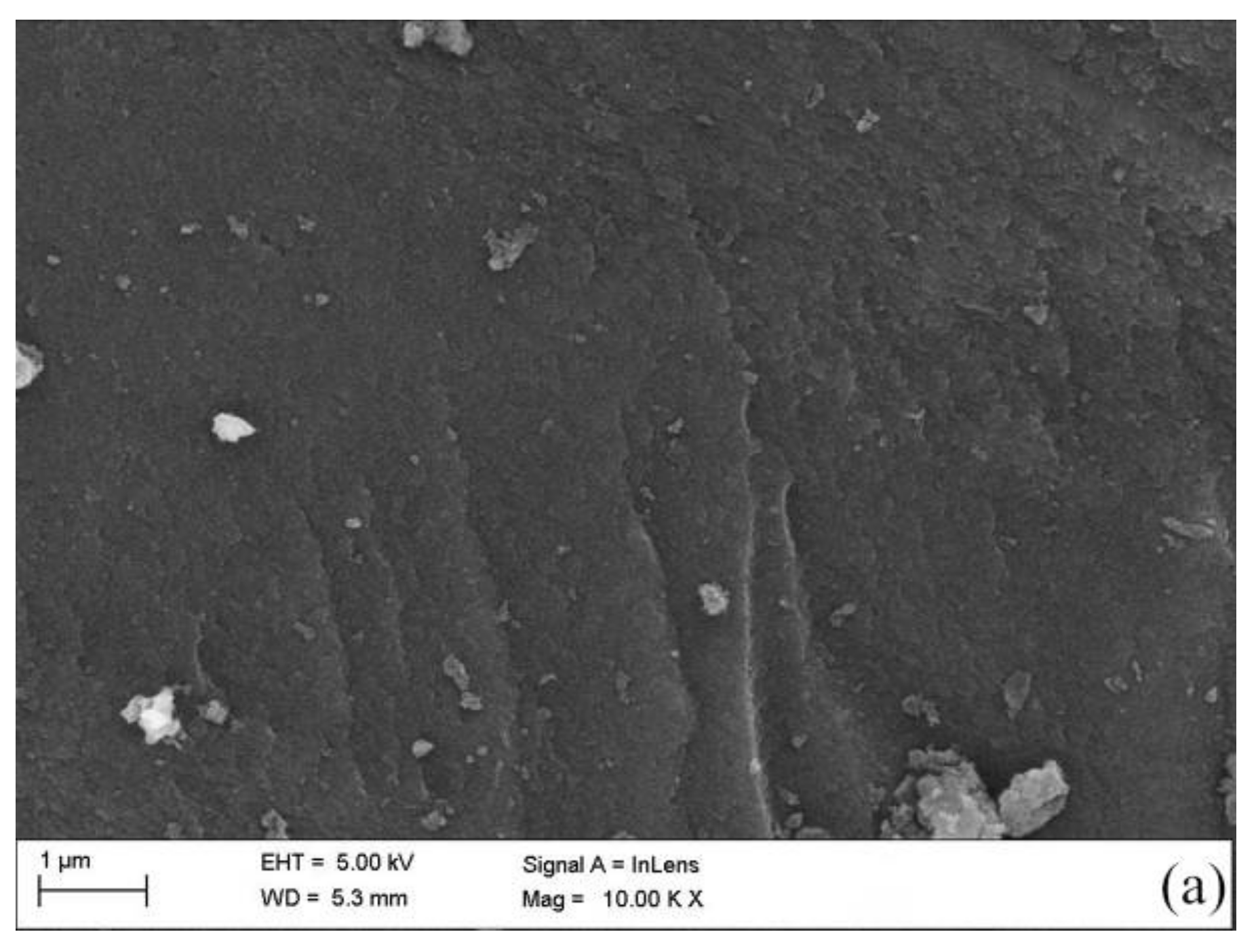 Water 13 00240 g002a