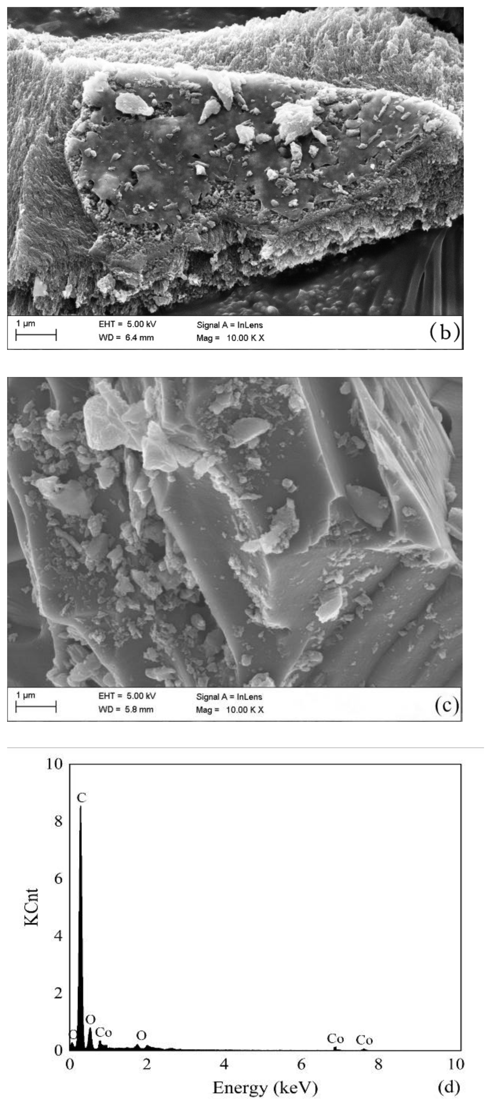 Water 13 00240 g002b