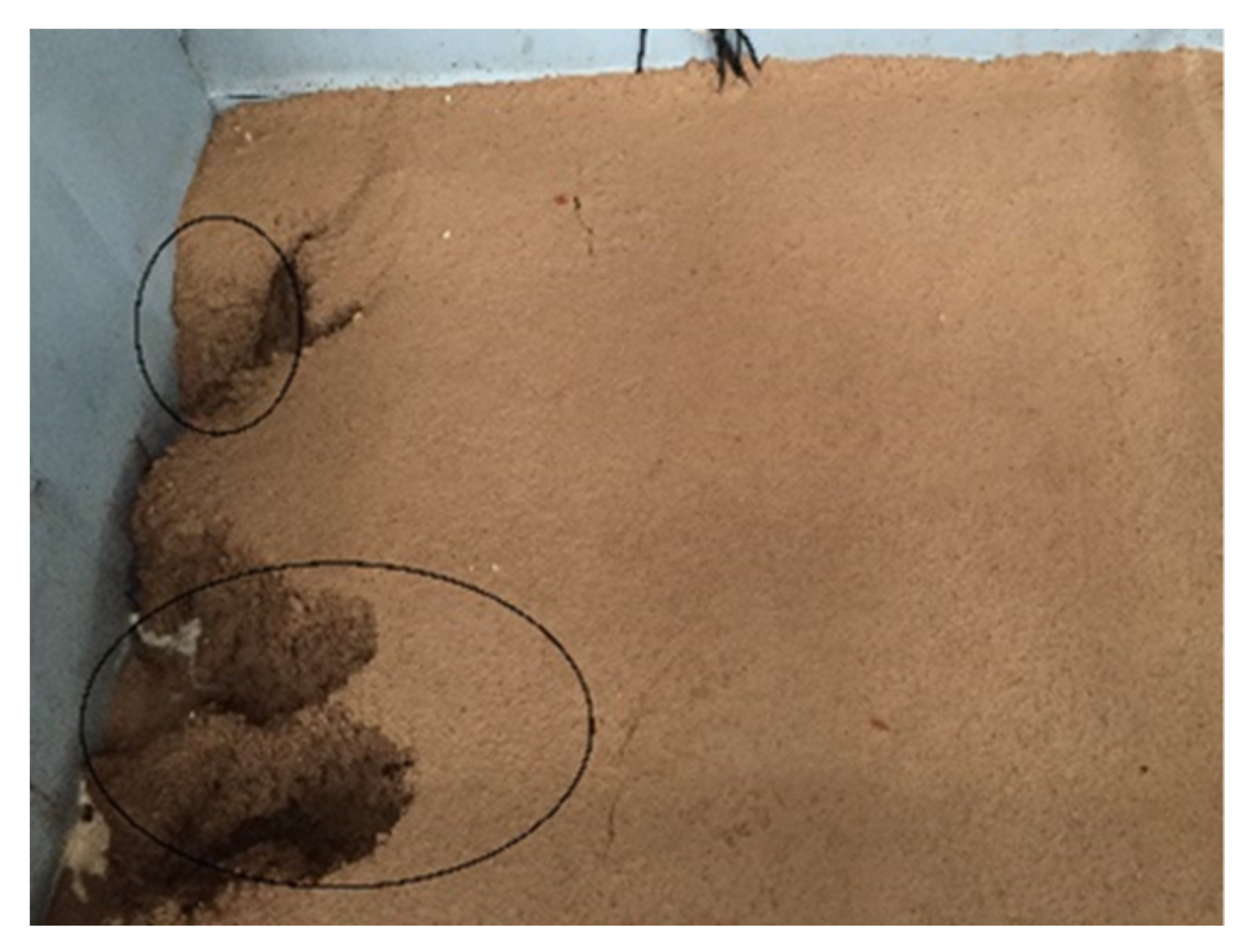 Water 13 00270 g010 Water 13 00270 g010