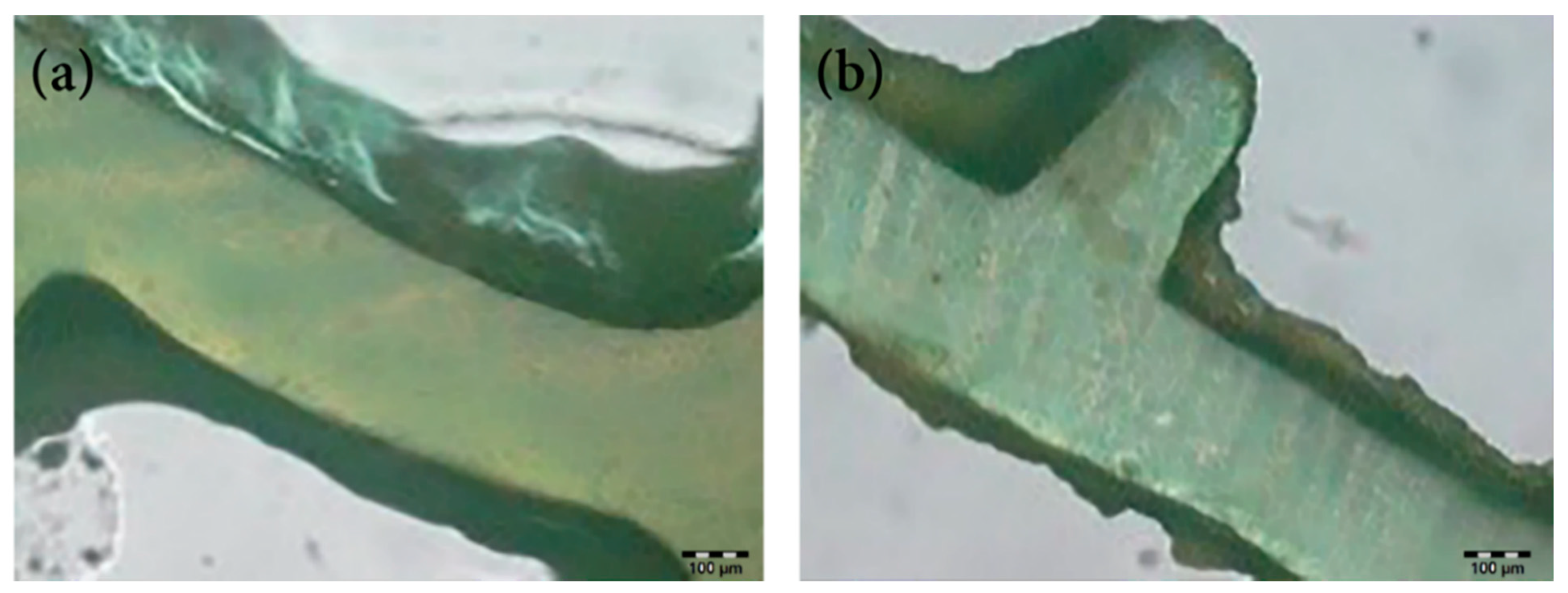 Water 13 00369 g003 Water 13 00369 g003