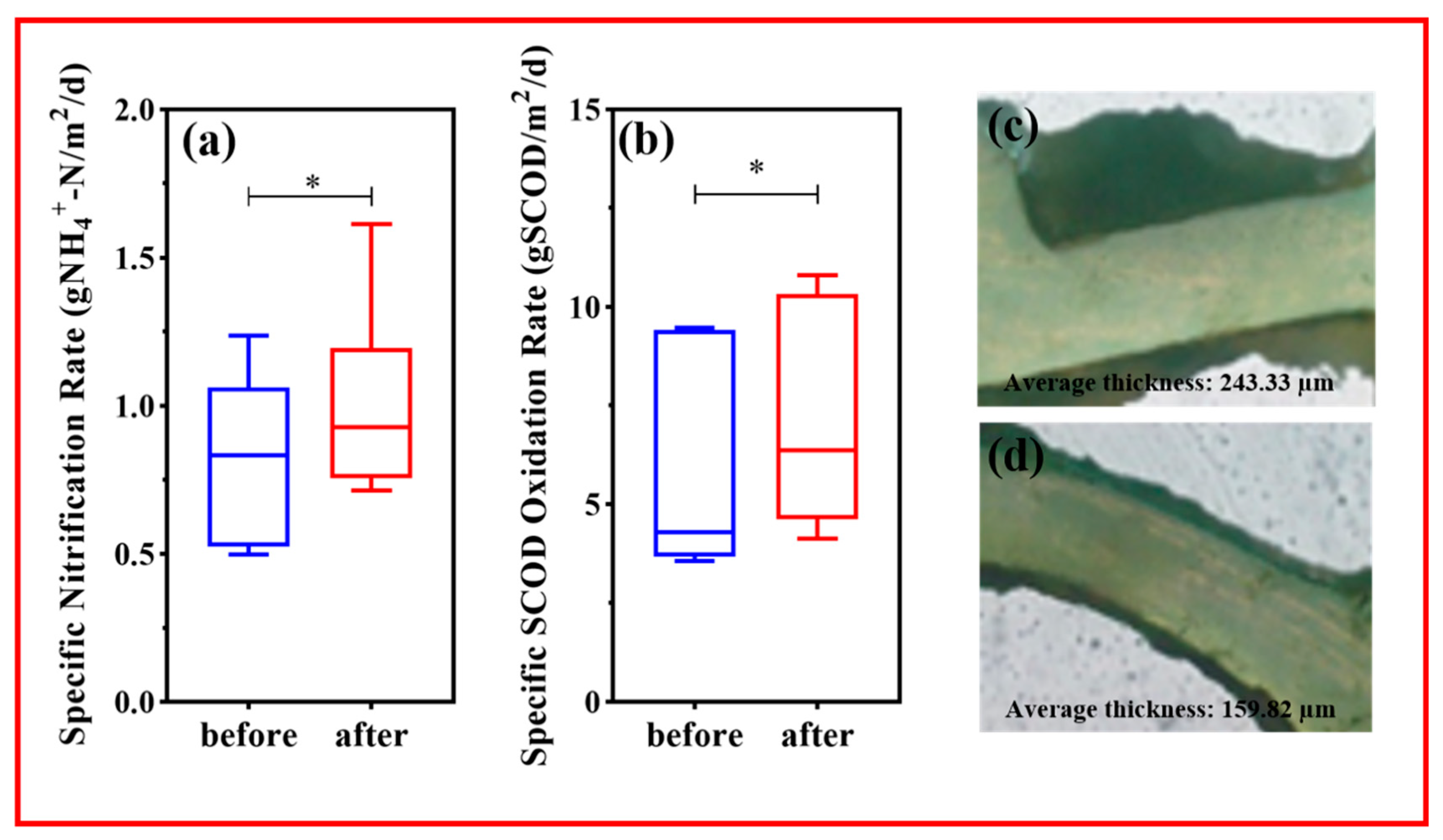 Water 13 00369 g004 Water 13 00369 g004