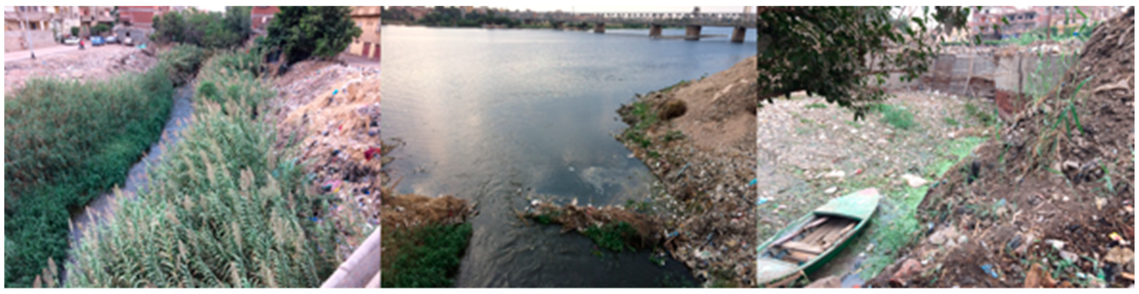 Water 13 00412 g006 Water 13 00412 g006