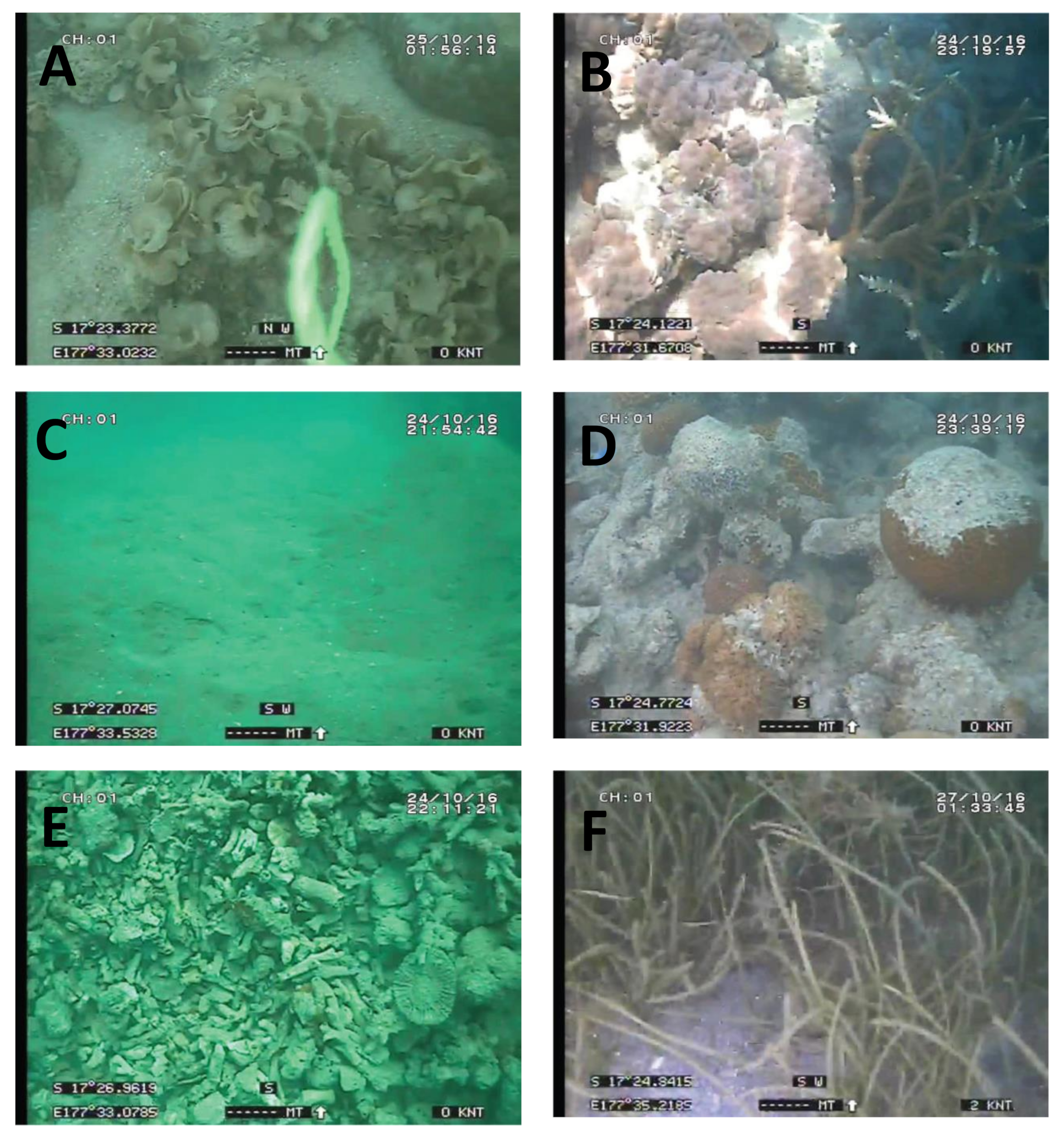 Water 13 00468 g002 Water 13 00468 g002