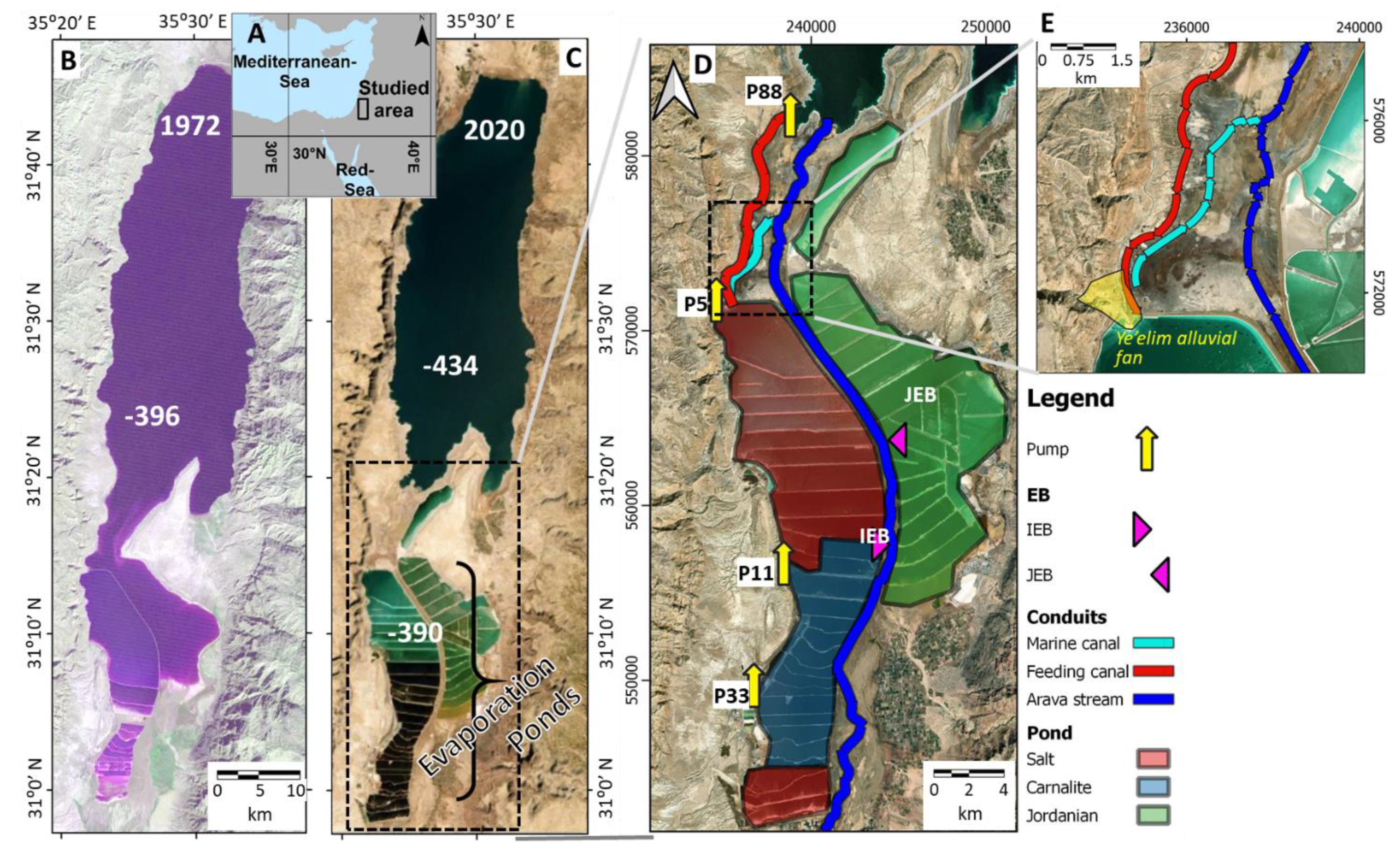 Water 13 00498 g001