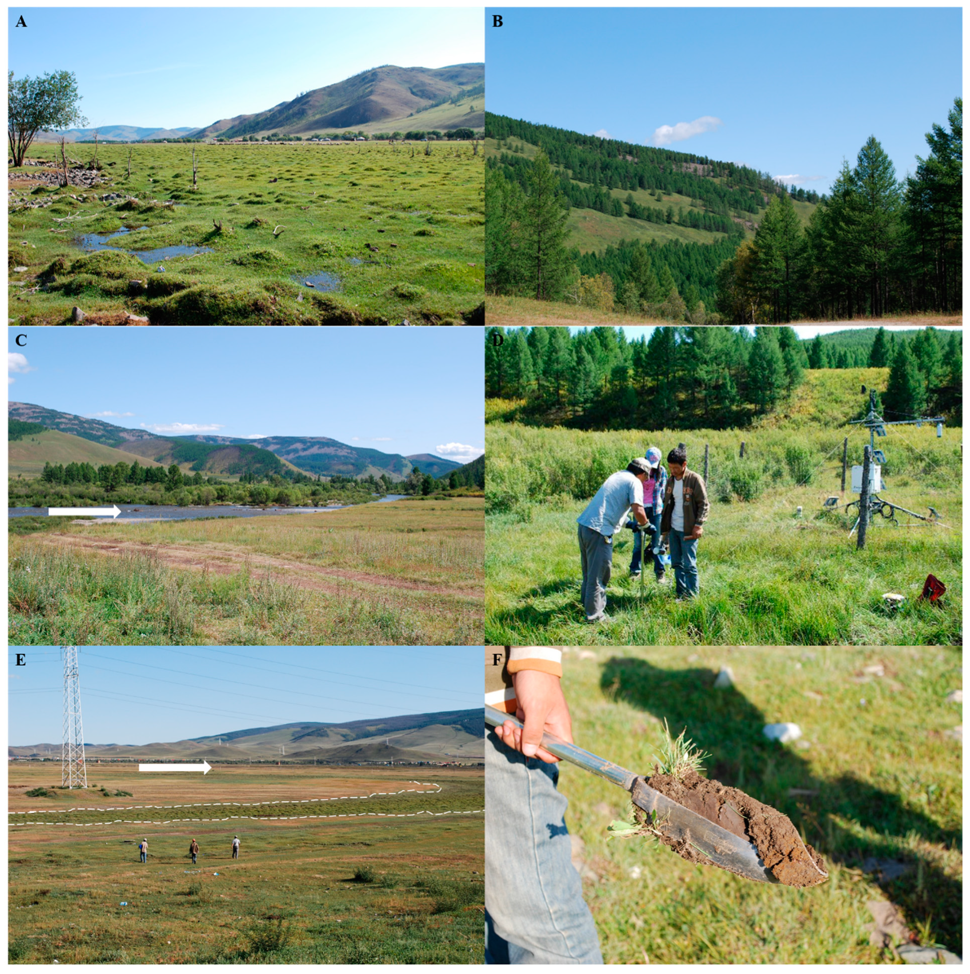 Water 13 00562 g002 Water 13 00562 g002