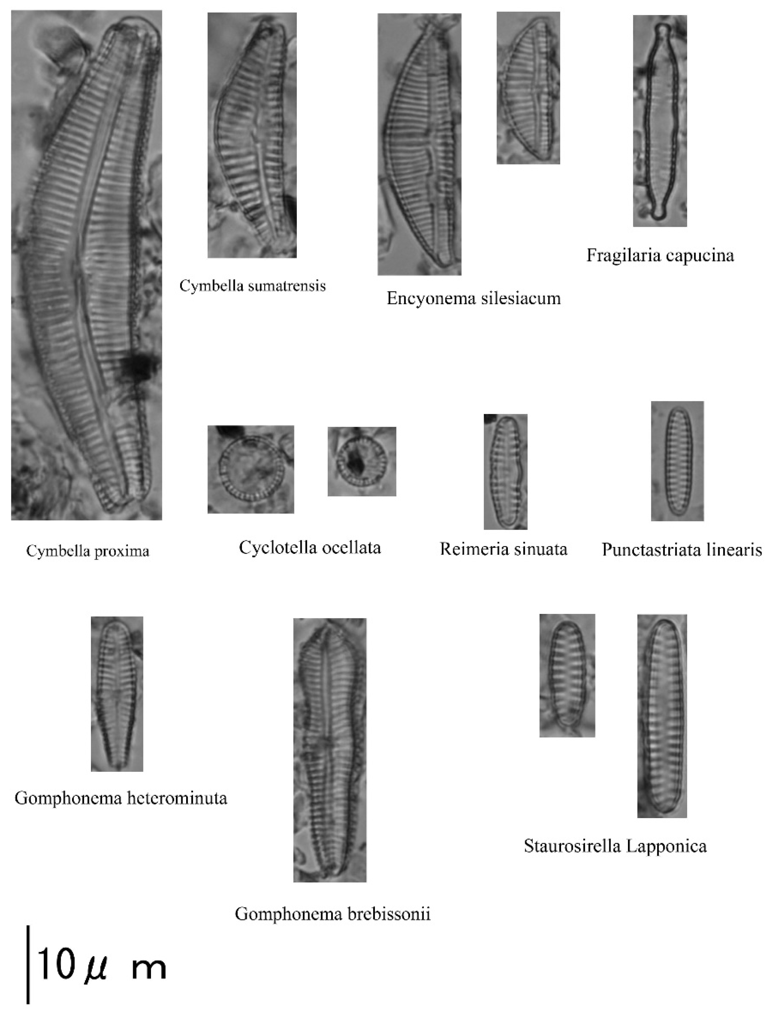 Water 13 00562 g006 Water 13 00562 g006