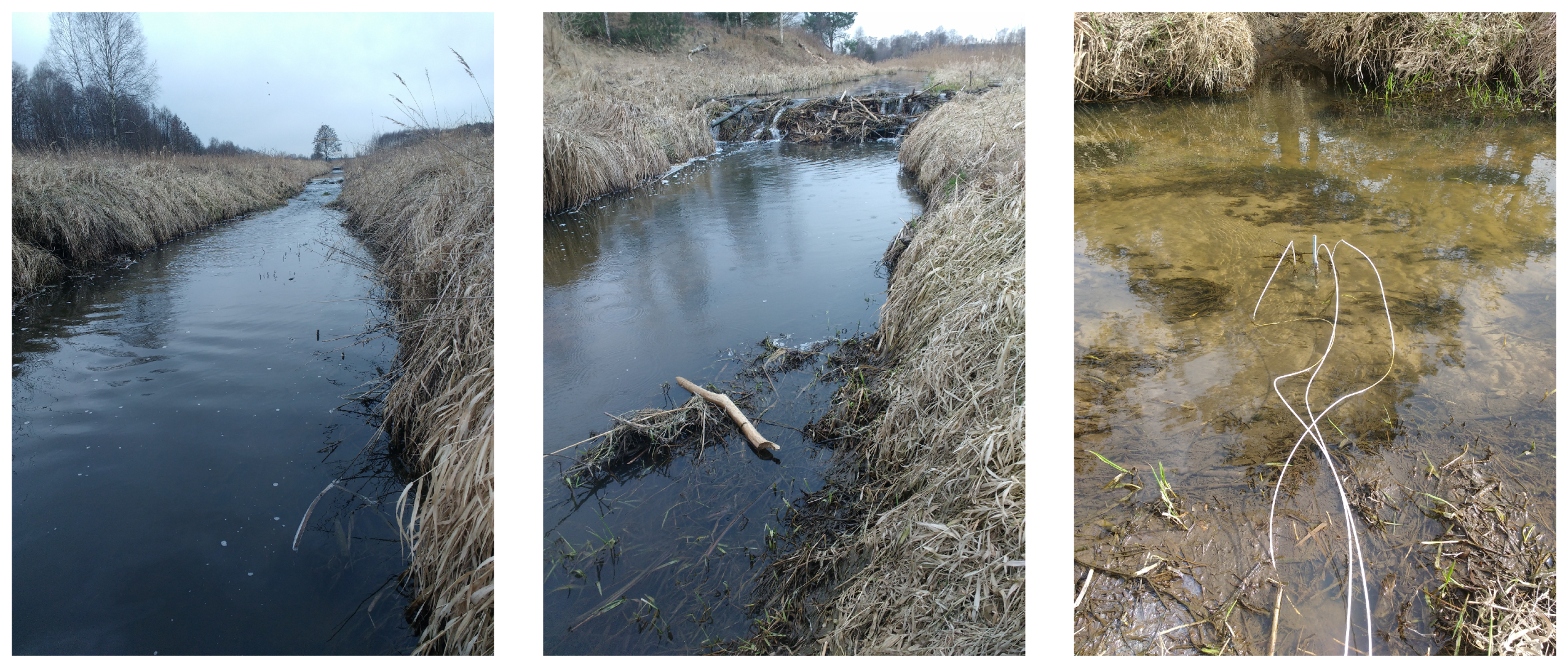 Water 13 01030 g002