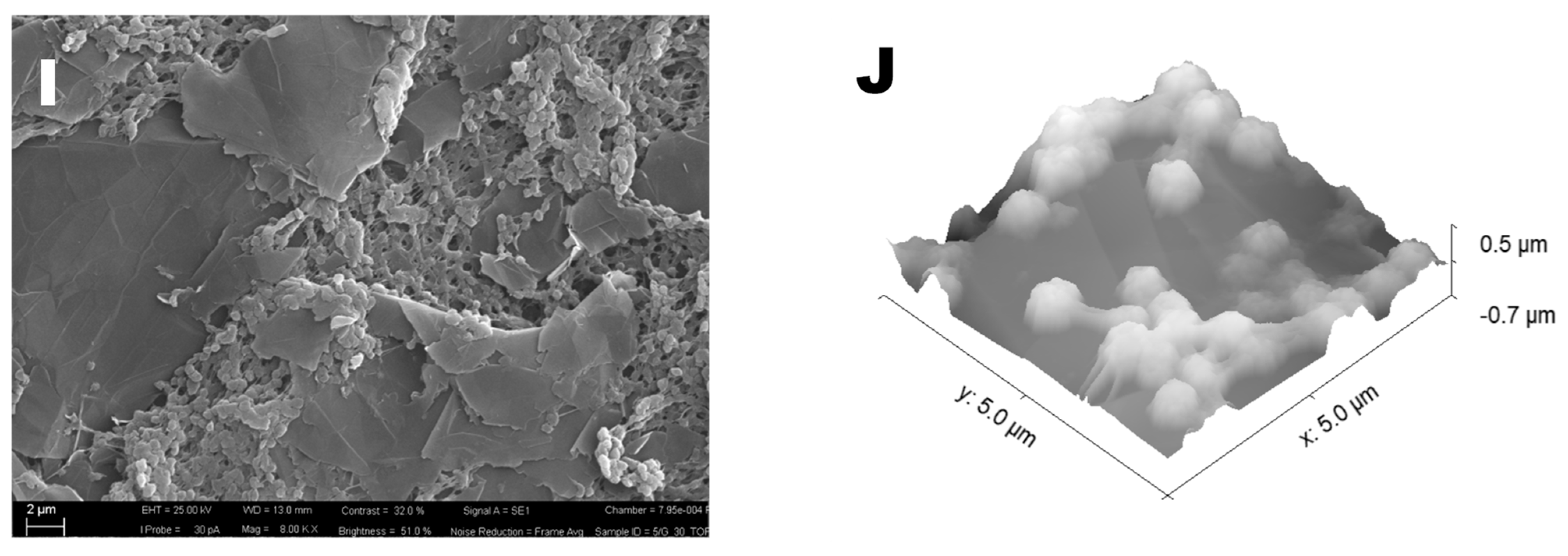 Water 13 01279 g001b