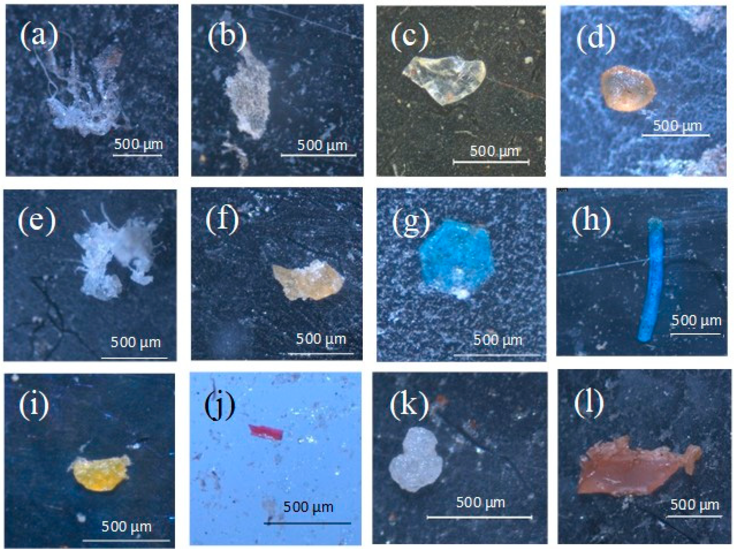 Water 13 01339 g002 Water 13 01339 g002