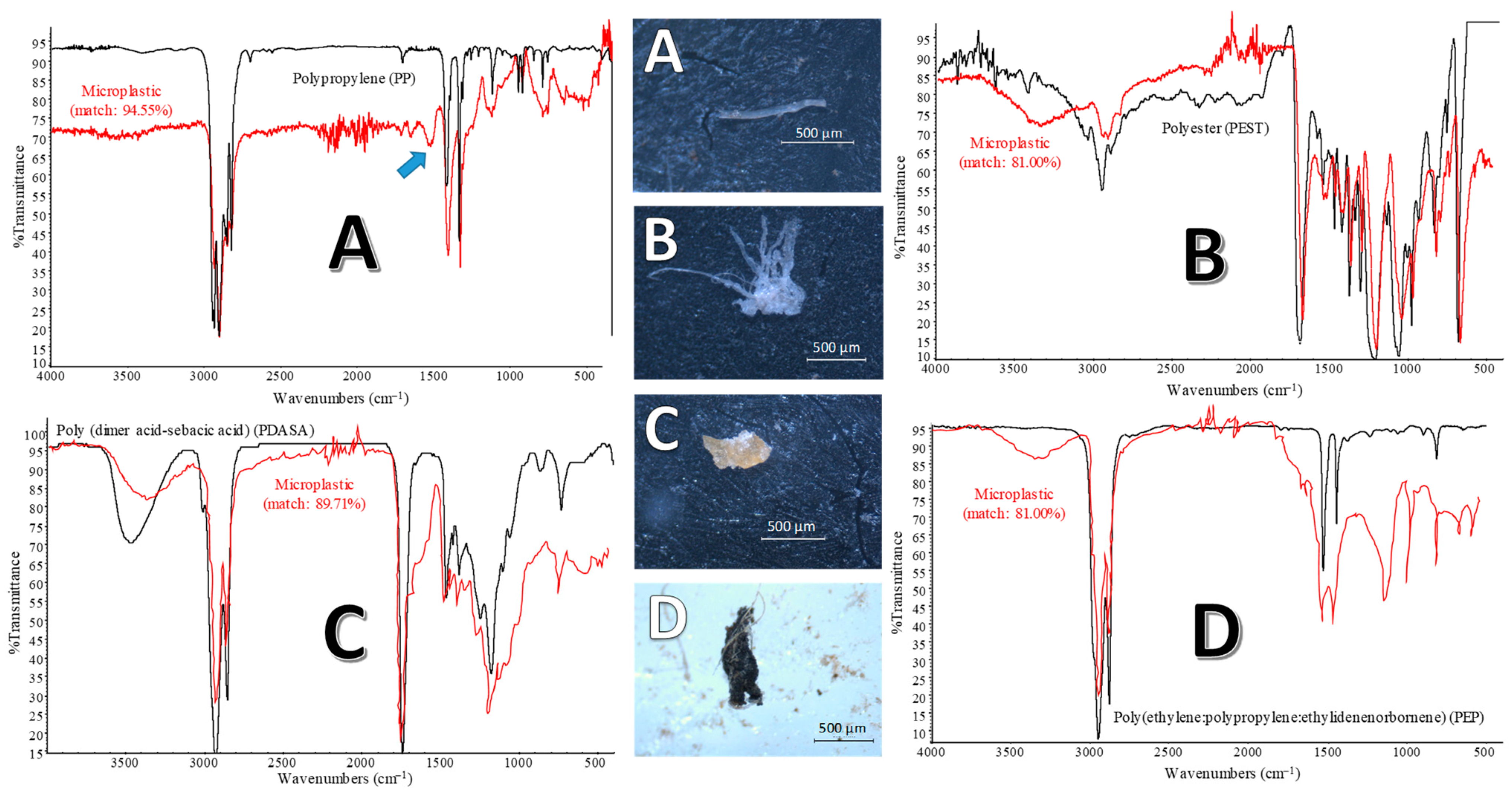 Water 13 01339 g006 Water 13 01339 g006
