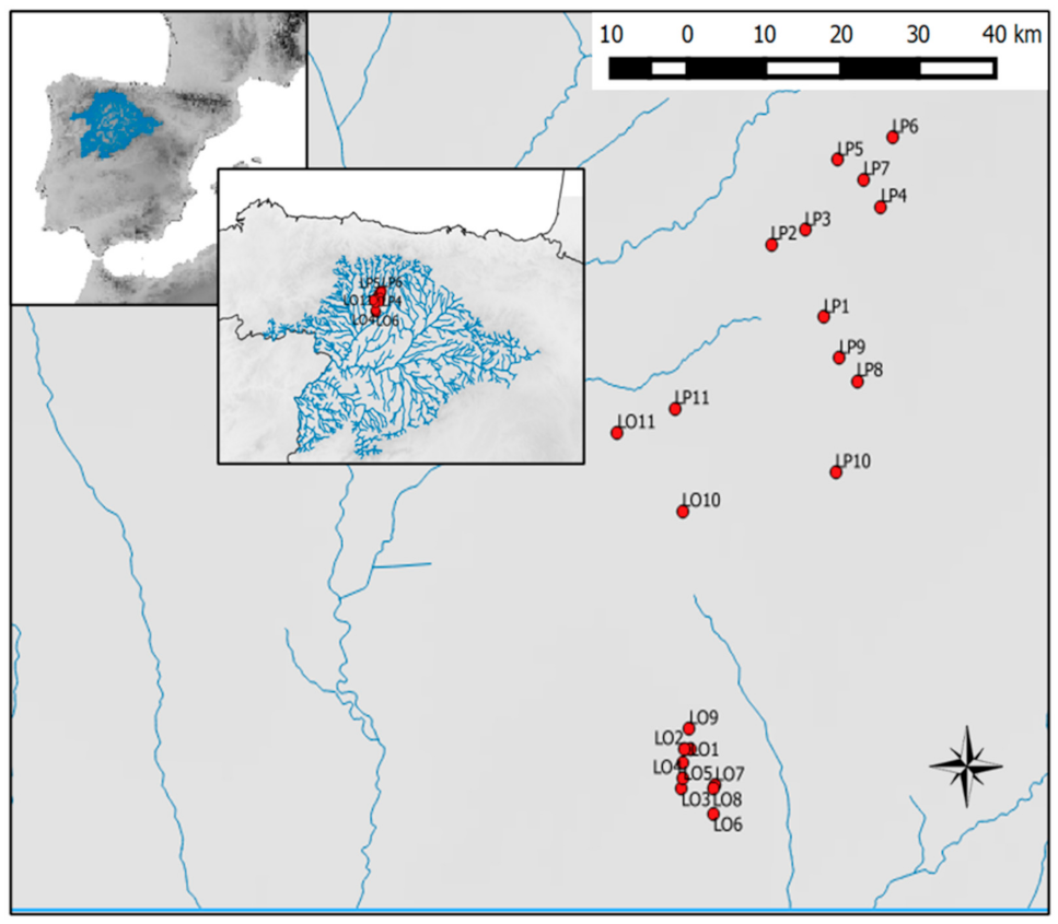Water 13 01351 g001 Water 13 01351 g001