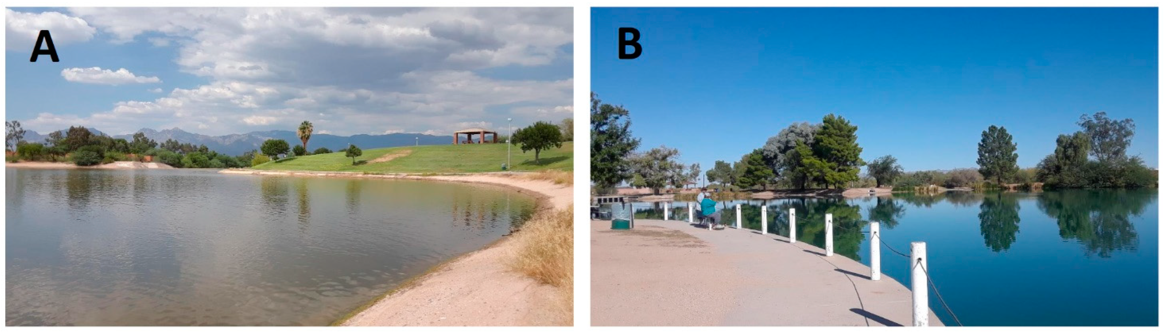 Water 13 01409 g002 Water 13 01409 g002