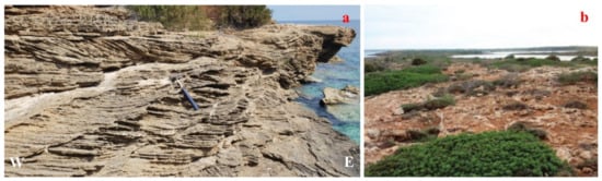 Water 13 01524 g004 550