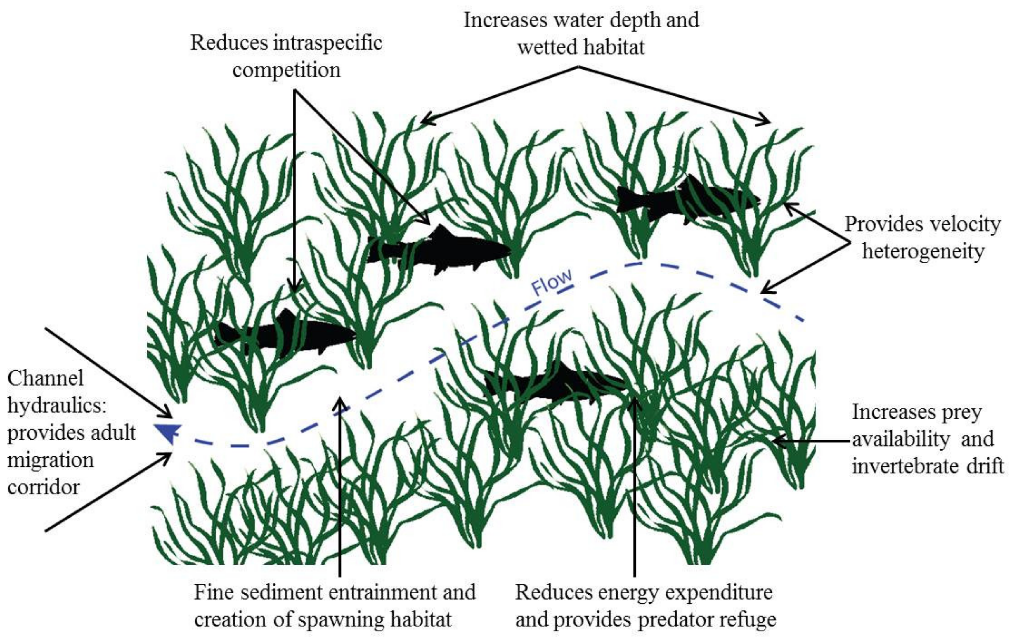 Water 13 01652 g006 Water 13 01652 g006