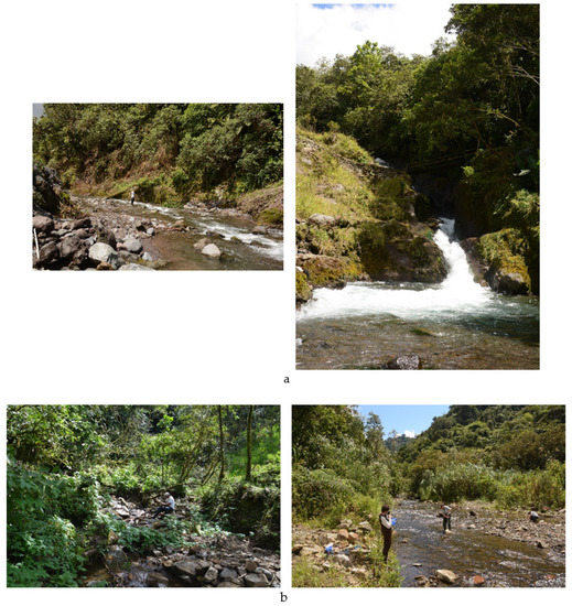 Water 13 01692 g0a1a