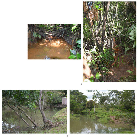 Water 13 01692 g0a1c