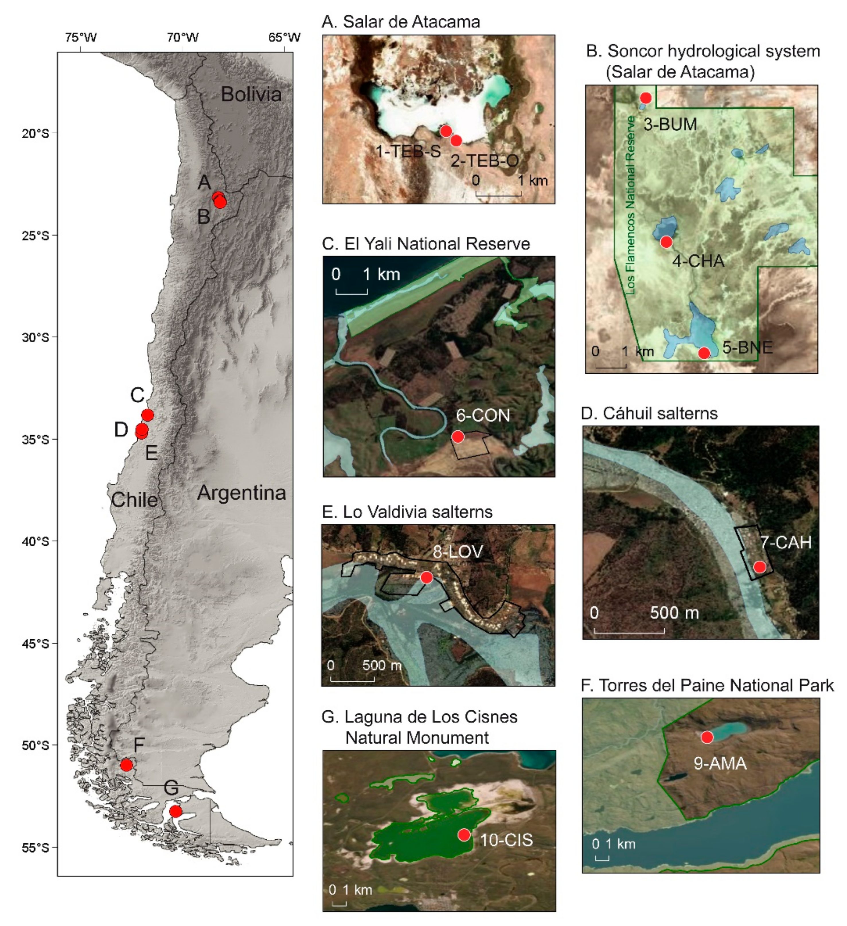 Water 13 01742 g001 Water 13 01742 g001