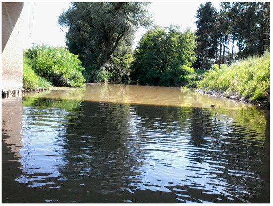 Water 13 01777 g0a1 550