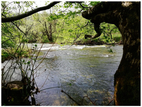 Water 13 01777 g0a2 550