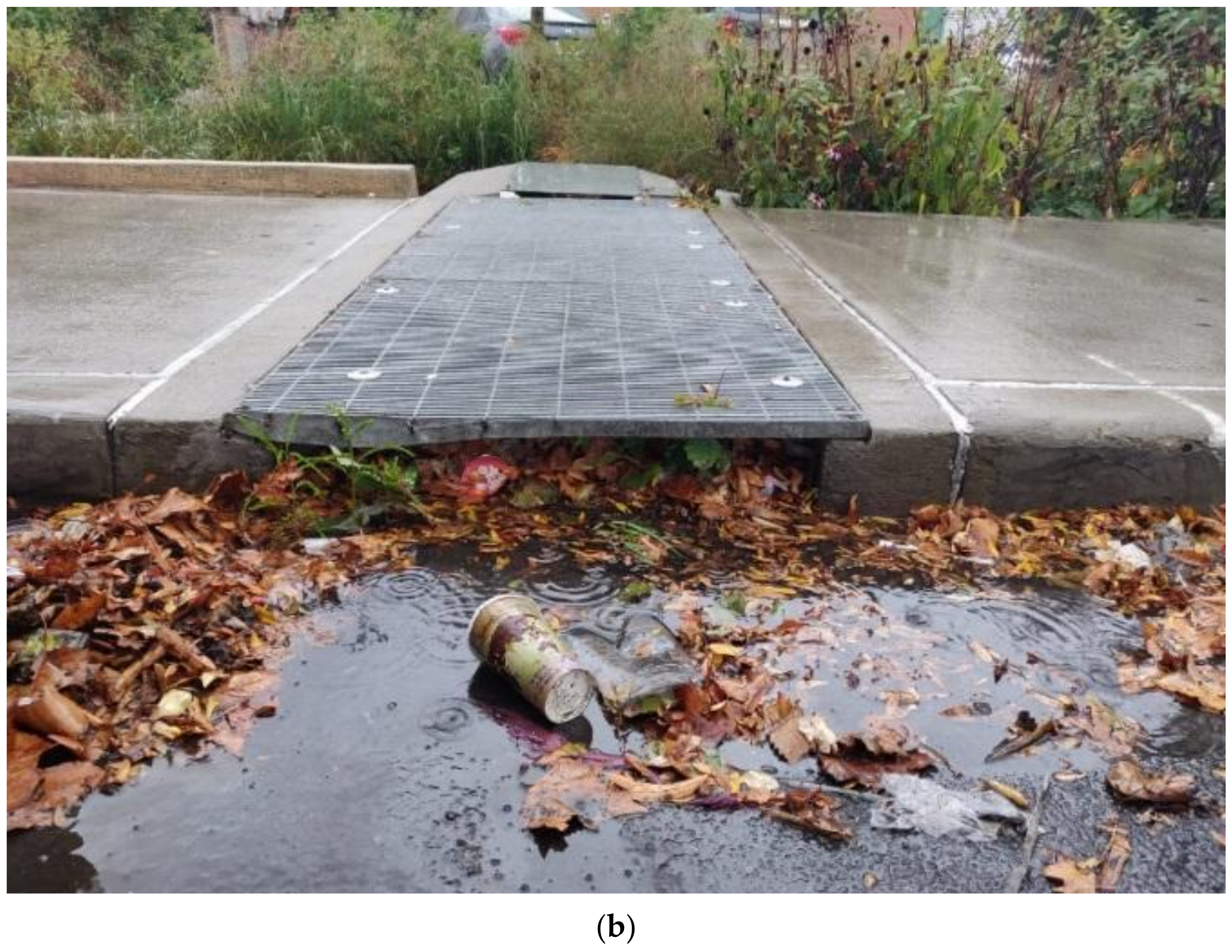 Water 13 01787 g011b