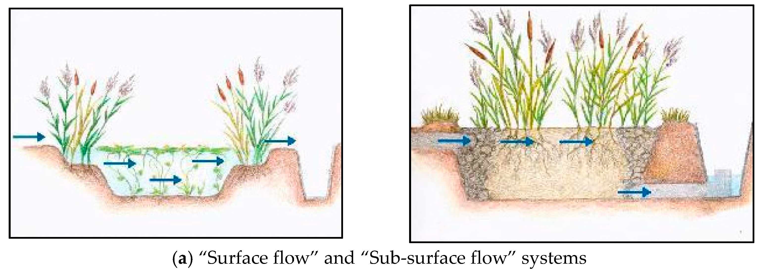 Water 13 01893 g003a