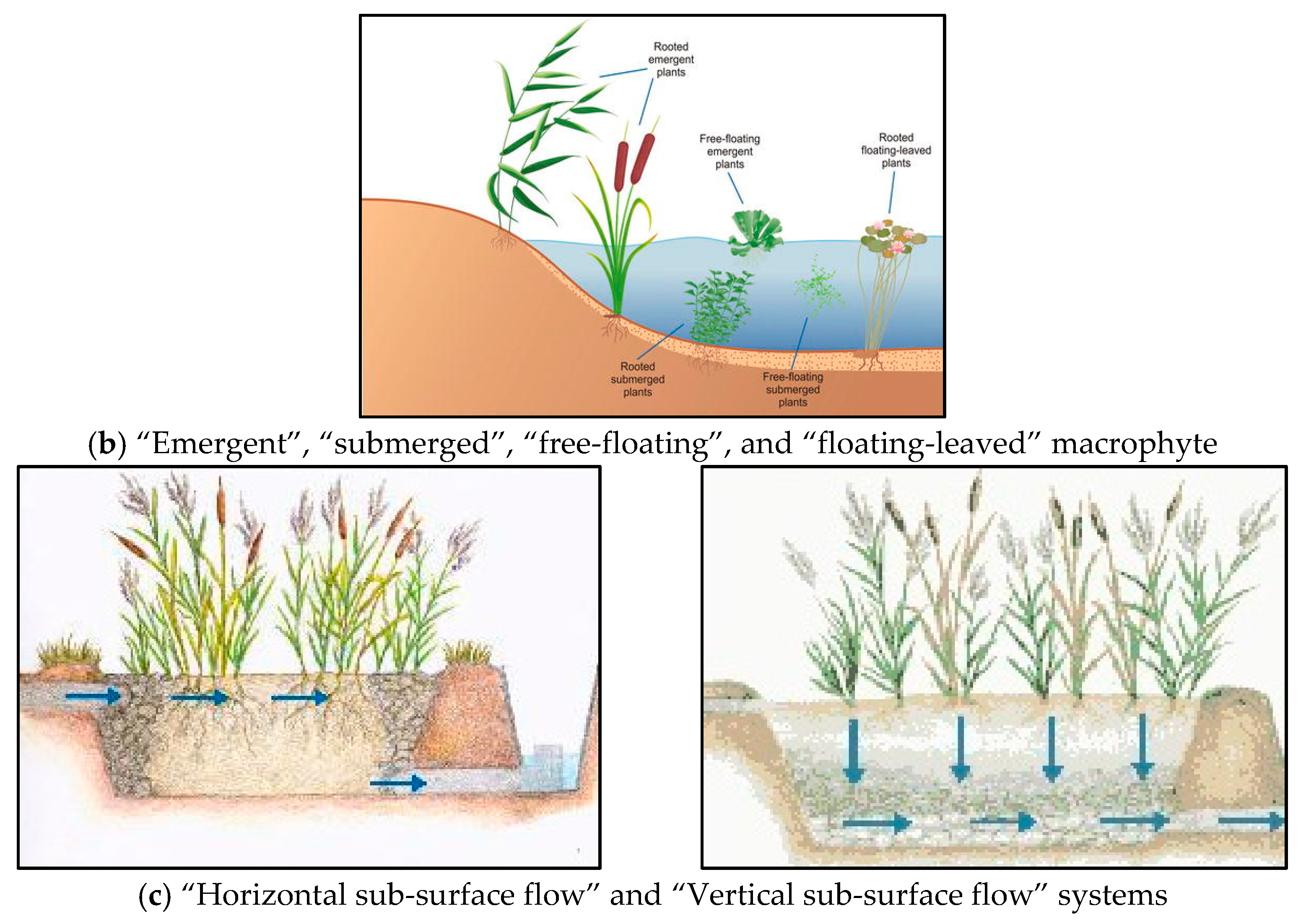 Water 13 01893 g003b