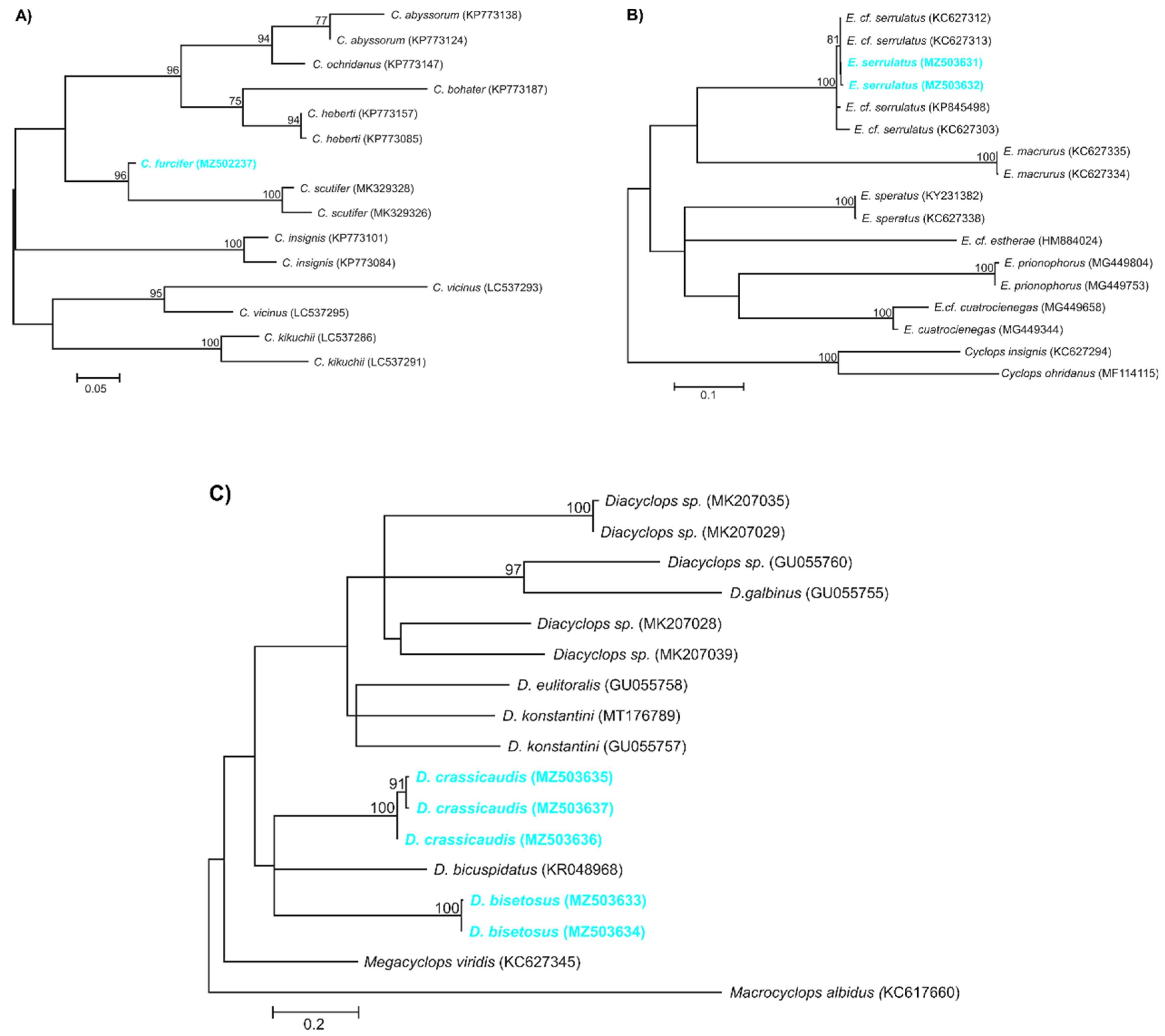 Water 13 02086 g008 Water 13 02086 g008