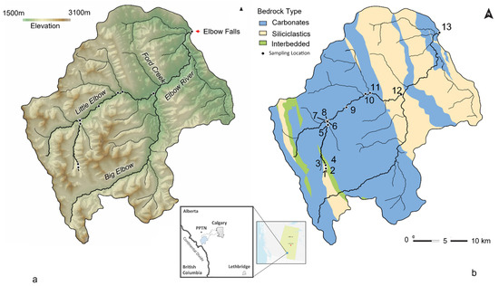 Water 13 02249 g001 550