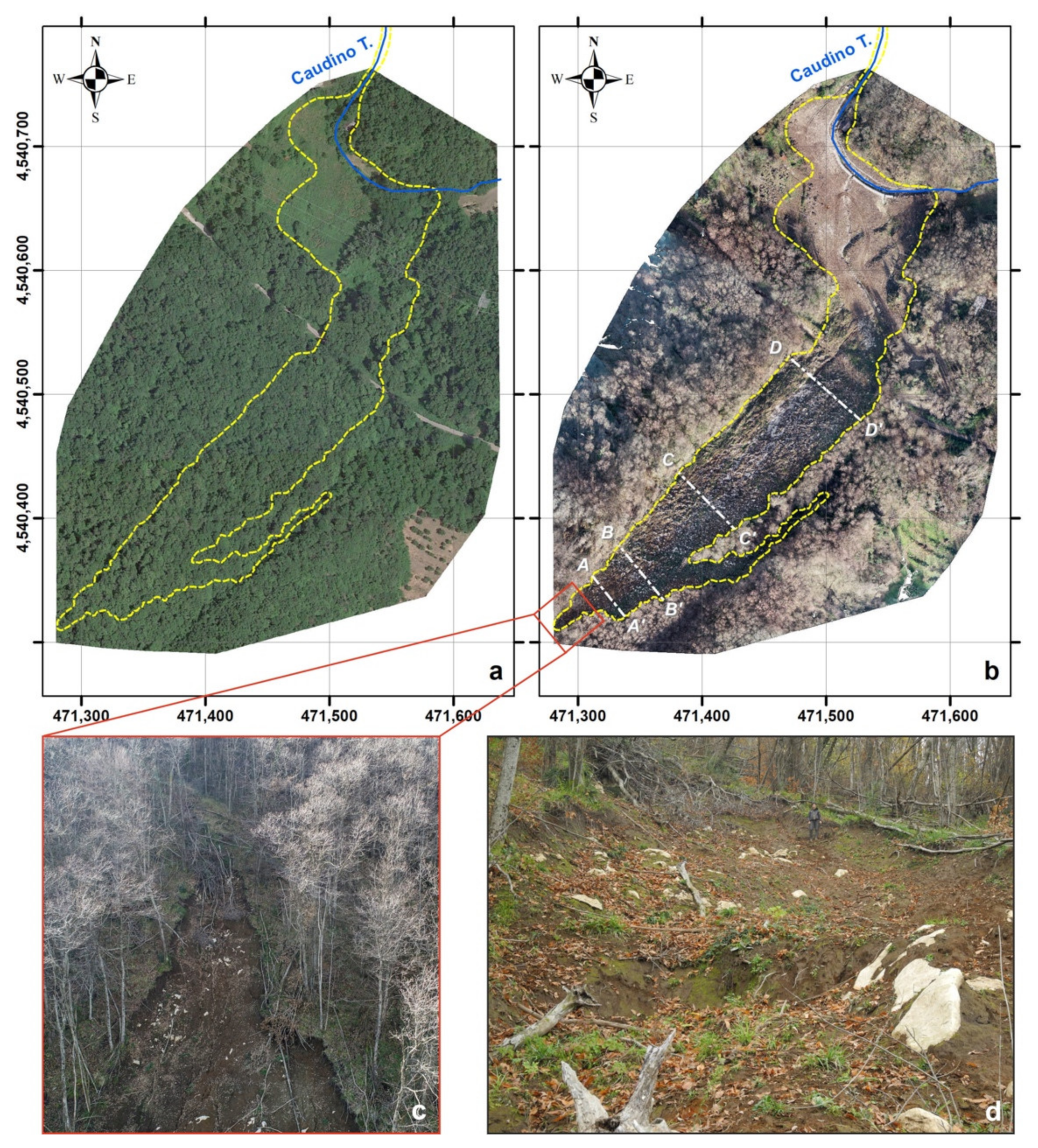 Water 13 02274 g009 Water 13 02274 g009