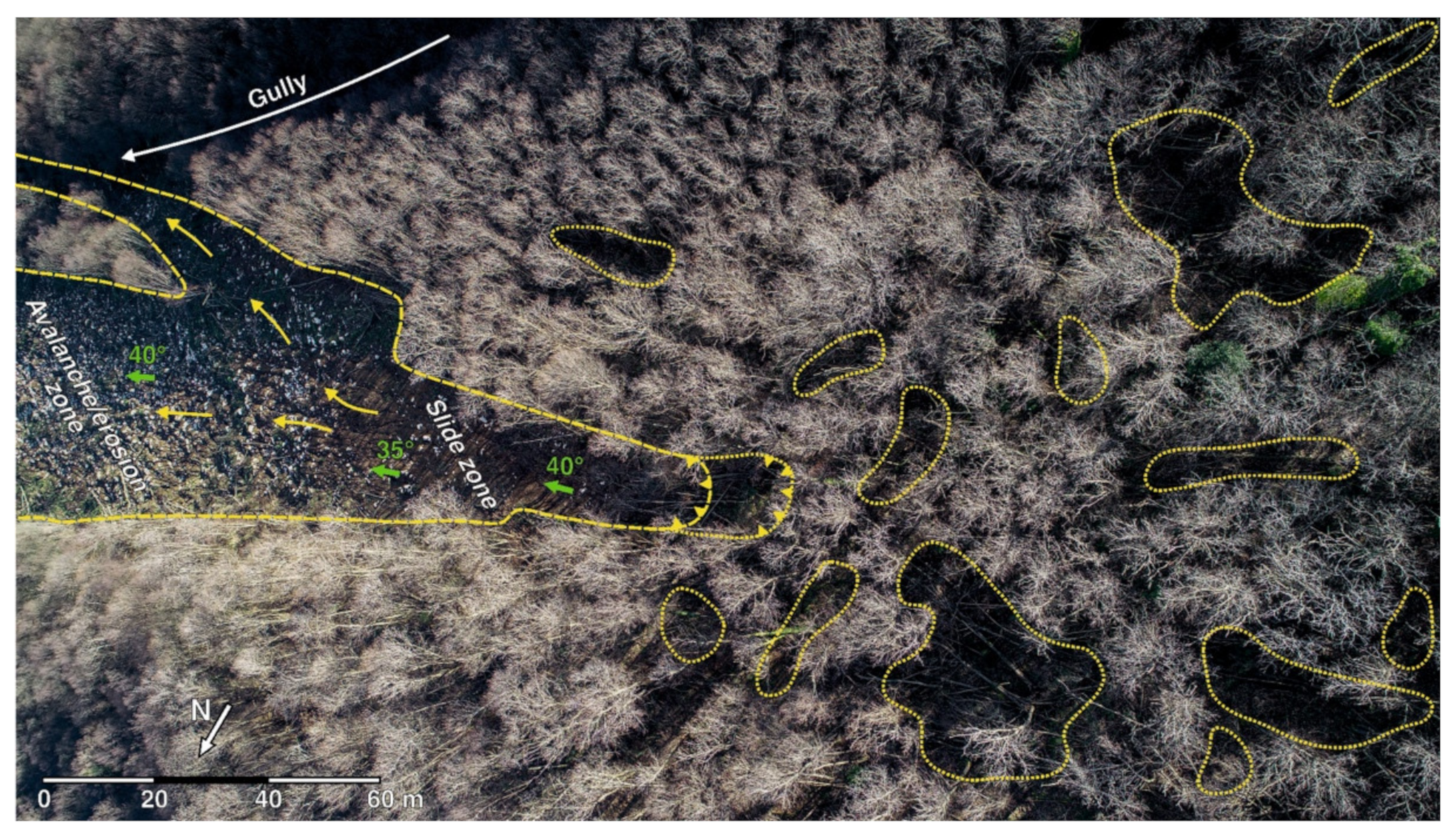 Water 13 02274 g010 Water 13 02274 g010