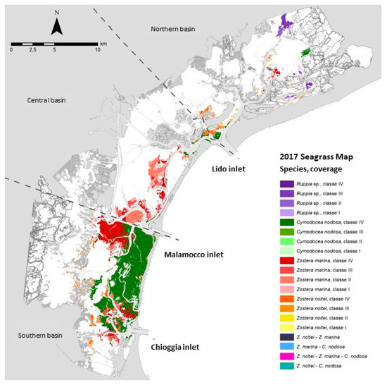 Water 13 02289 g001 550